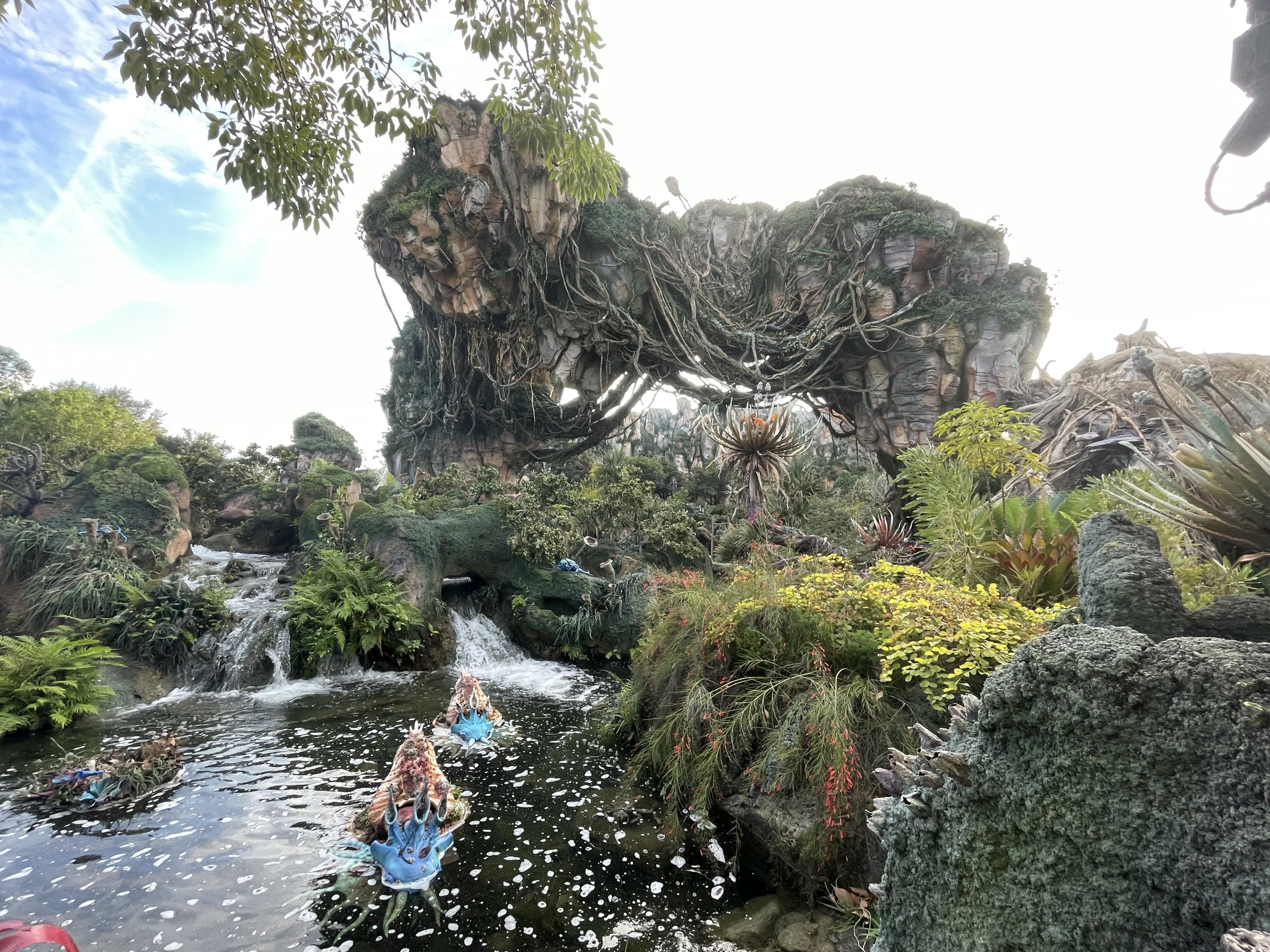 img_0385-jpeg.907002