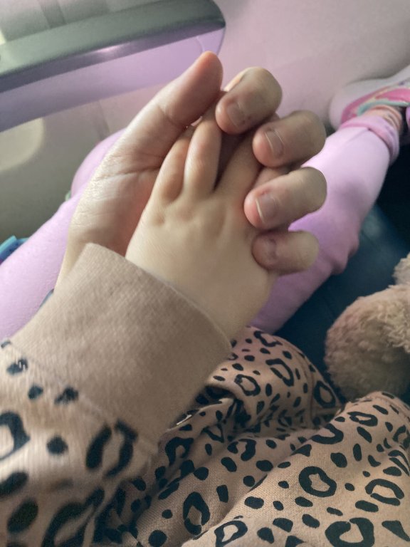 IMG_0423.jpeg IMG_0423.jpeg