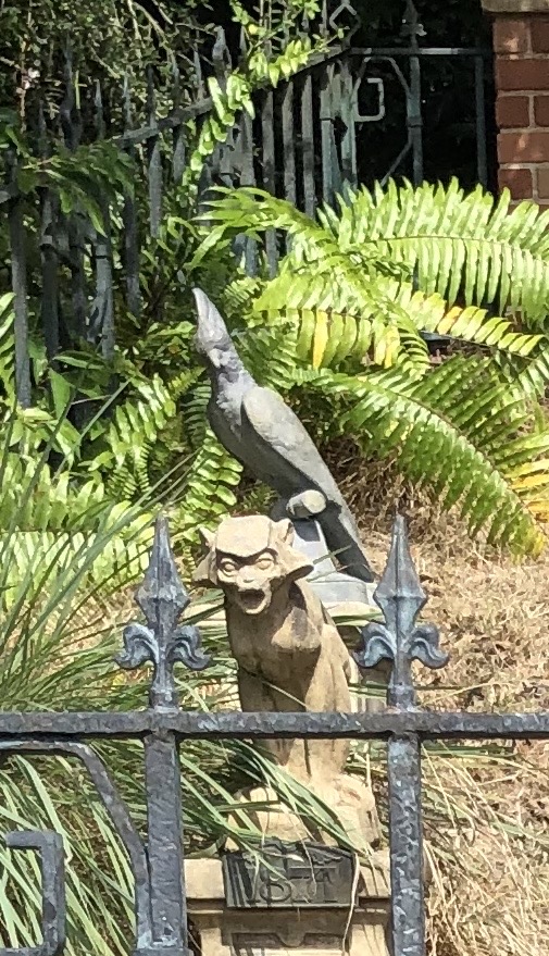 IMG_0485.jpeg