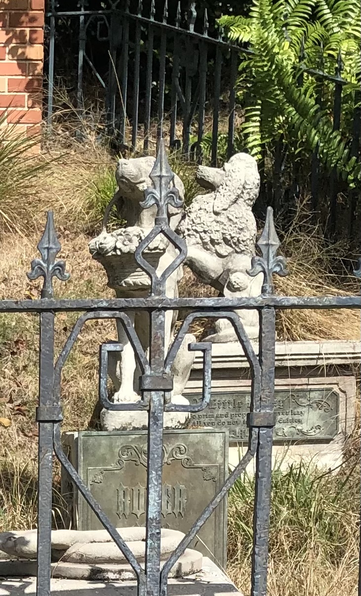 IMG_0493.jpeg