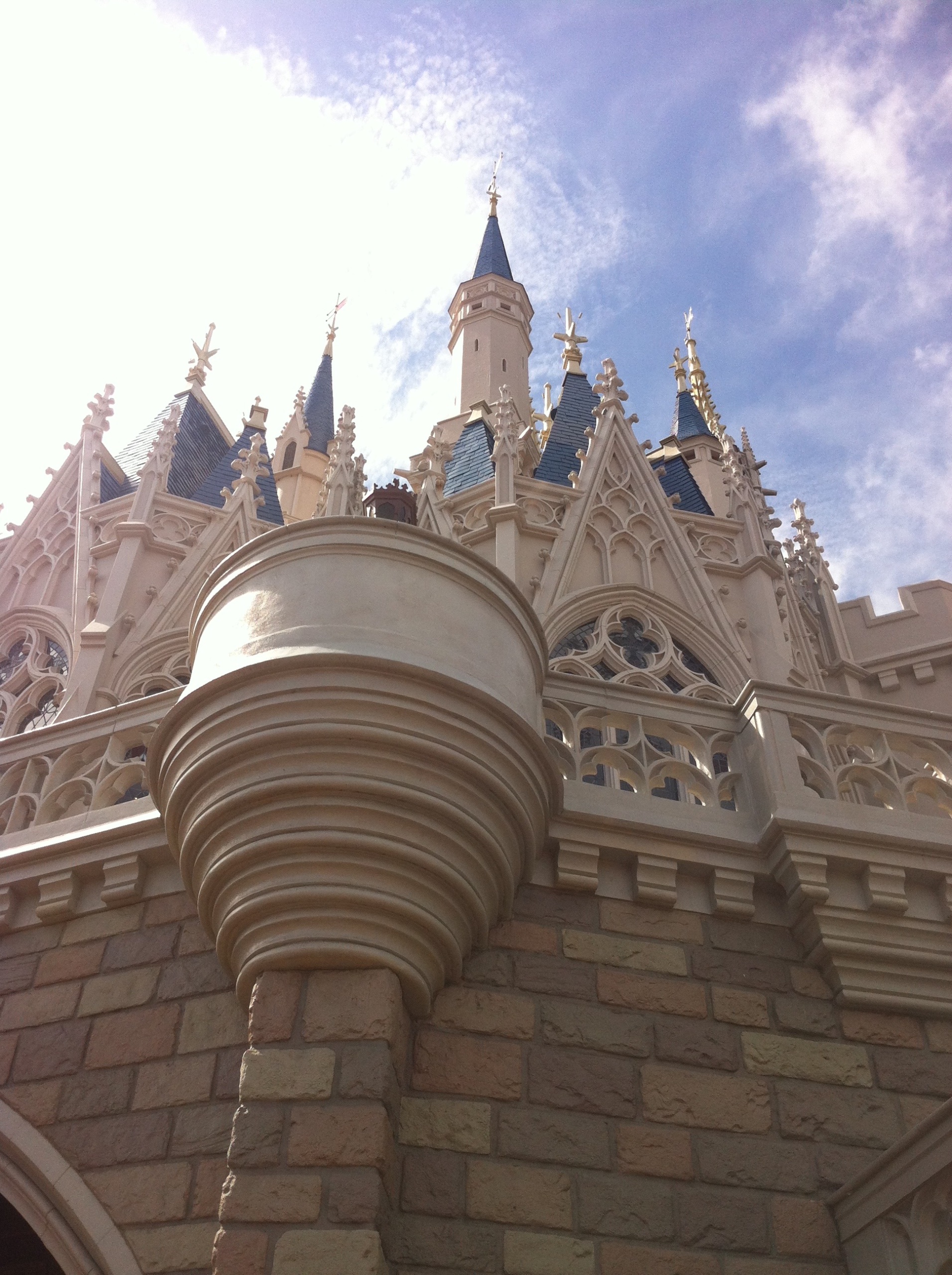IMG_0559.jpeg