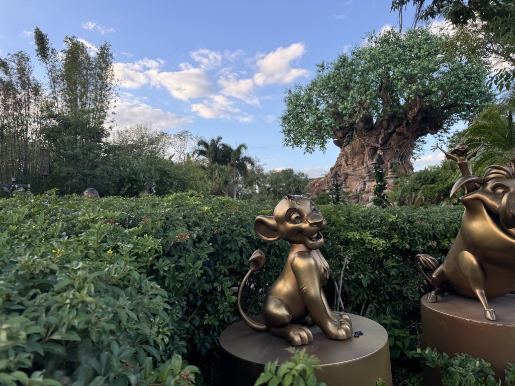 IMG_0594.jpeg