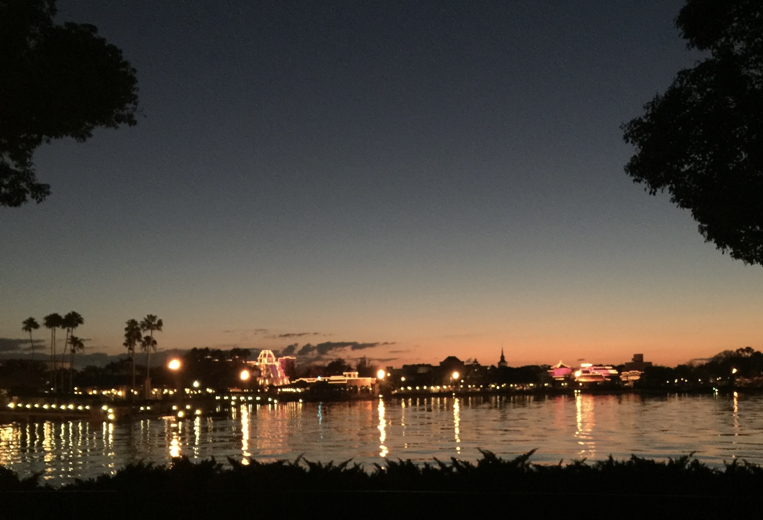 IMG_0768.jpeg