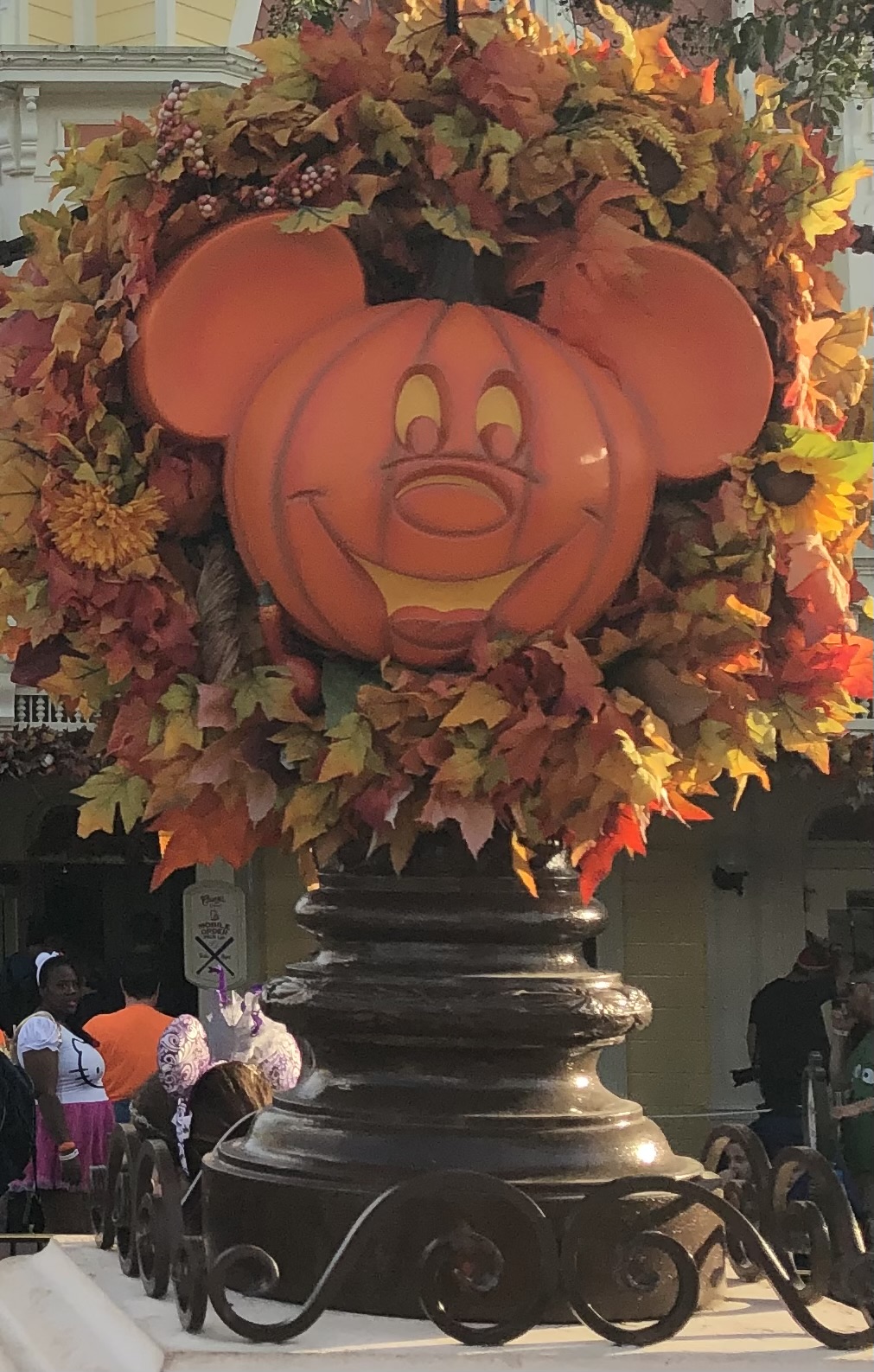 IMG_0782.jpeg