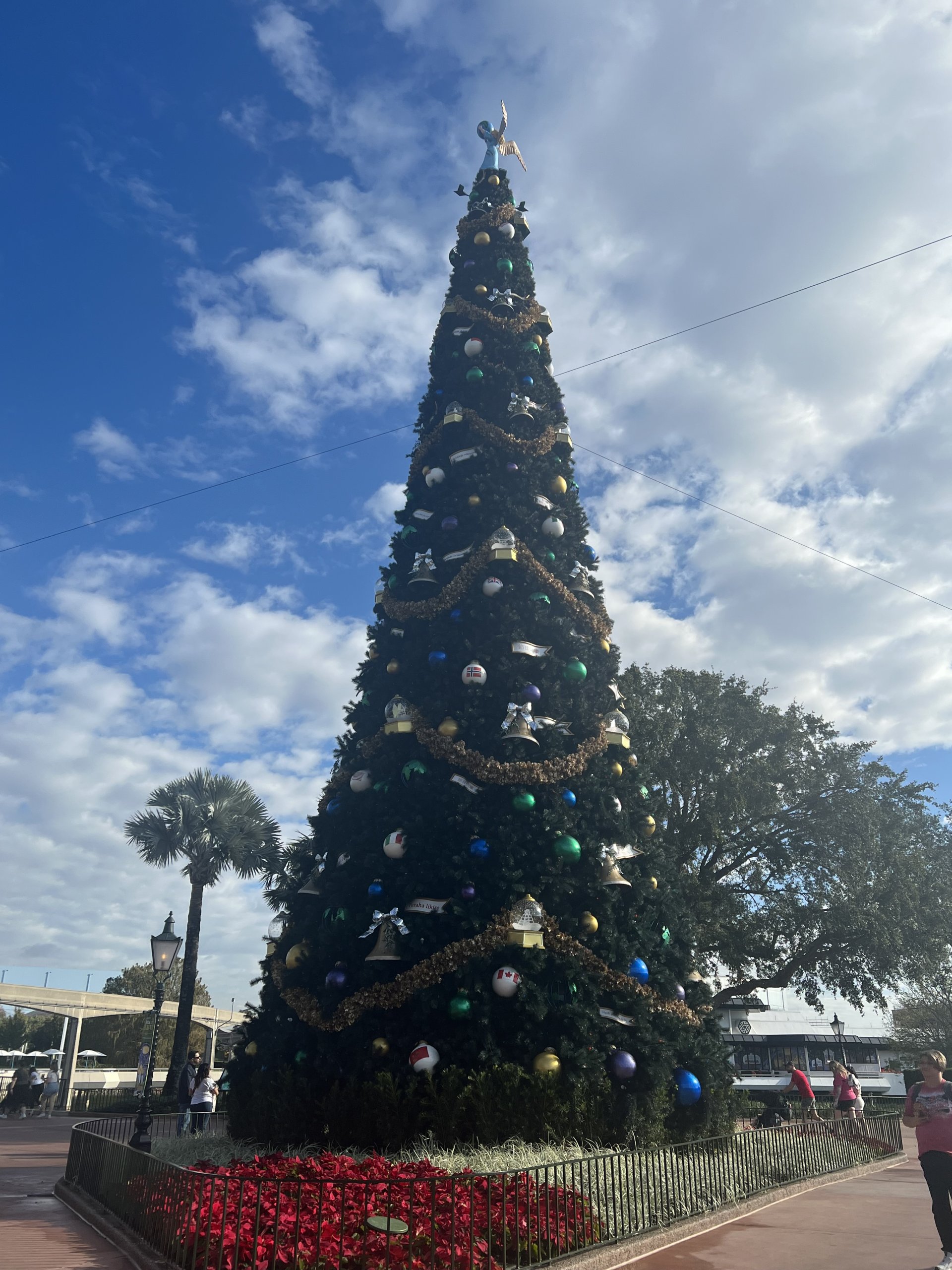 IMG_0806.jpeg