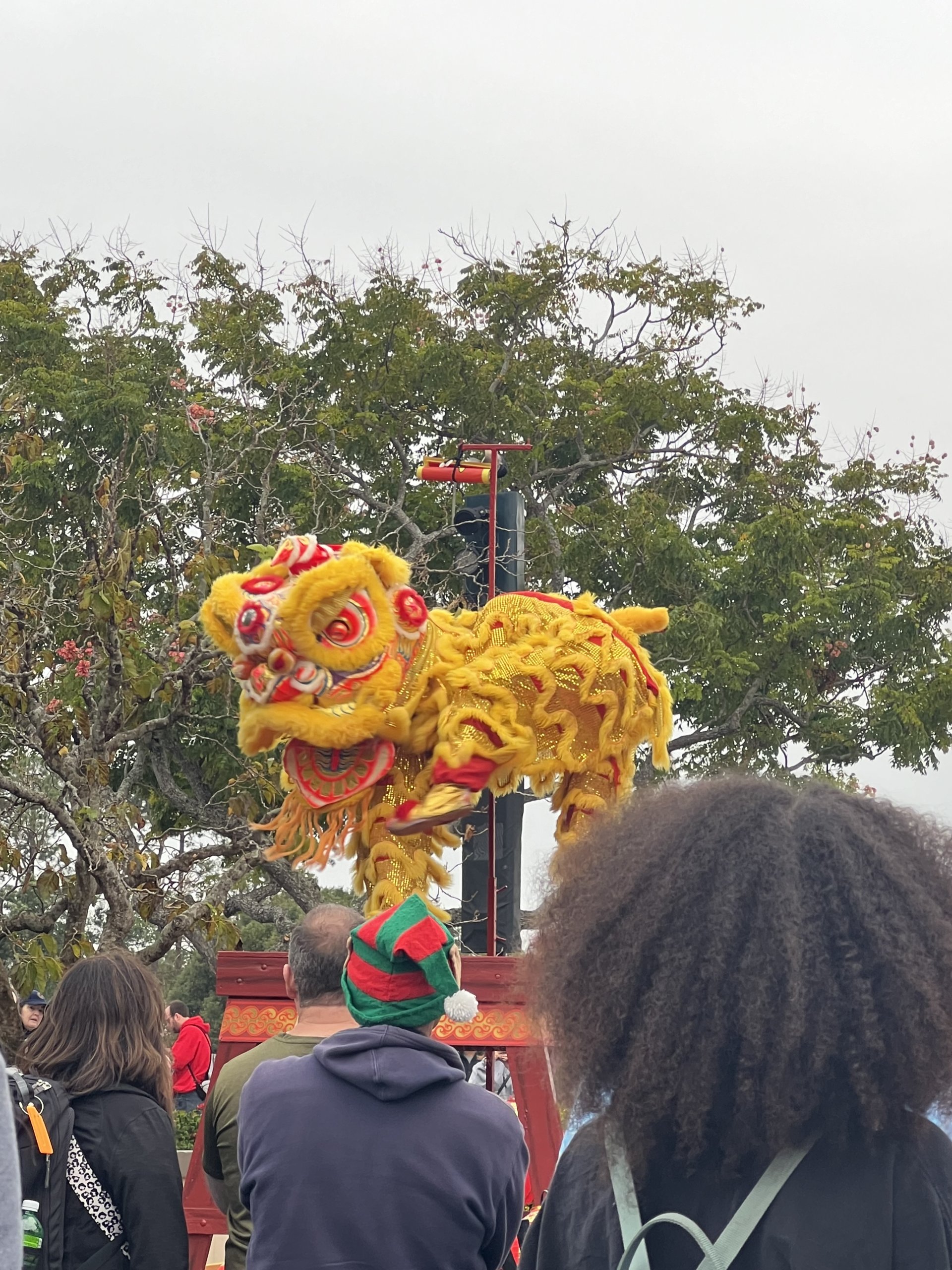 IMG_0846.jpeg