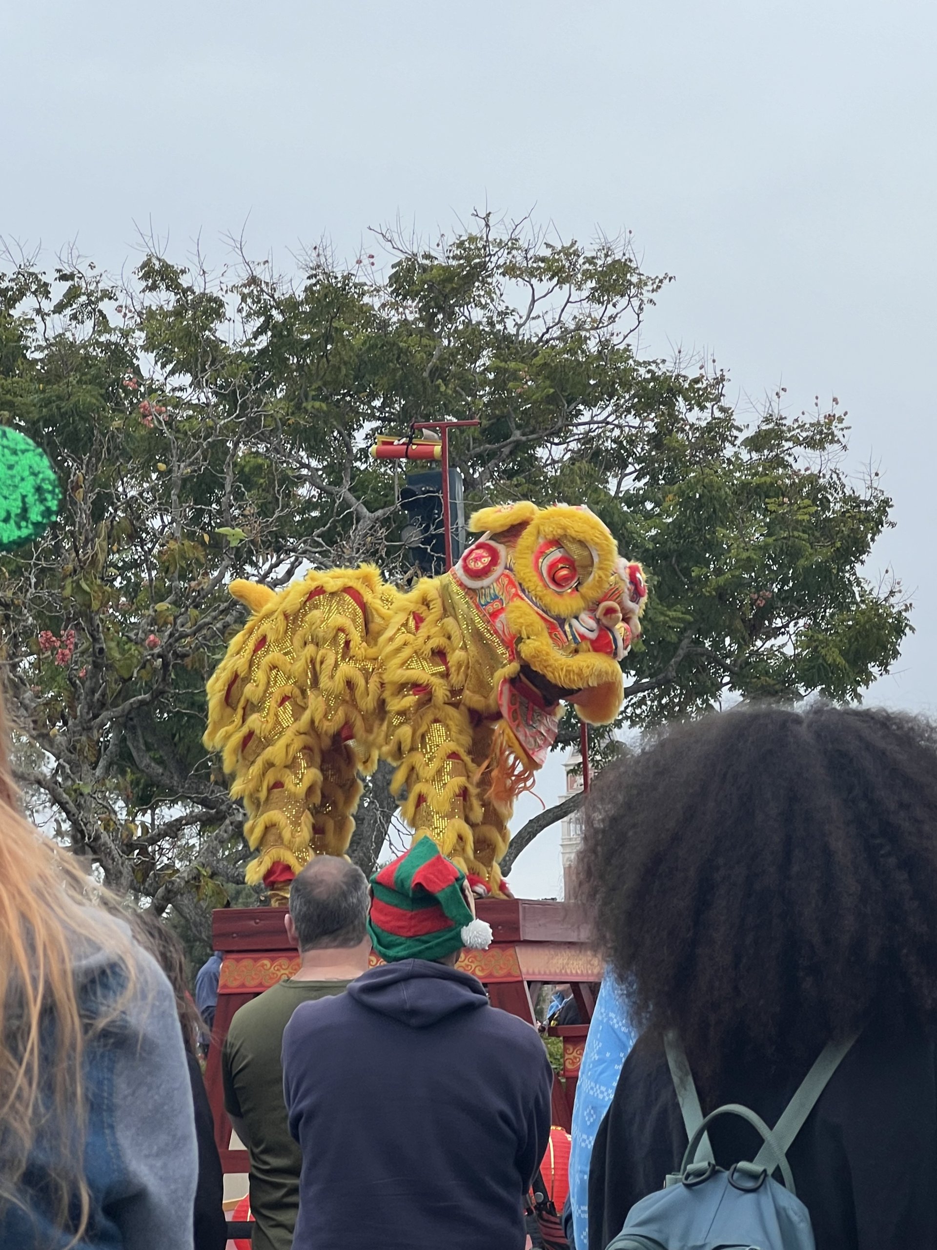 IMG_0849.jpeg