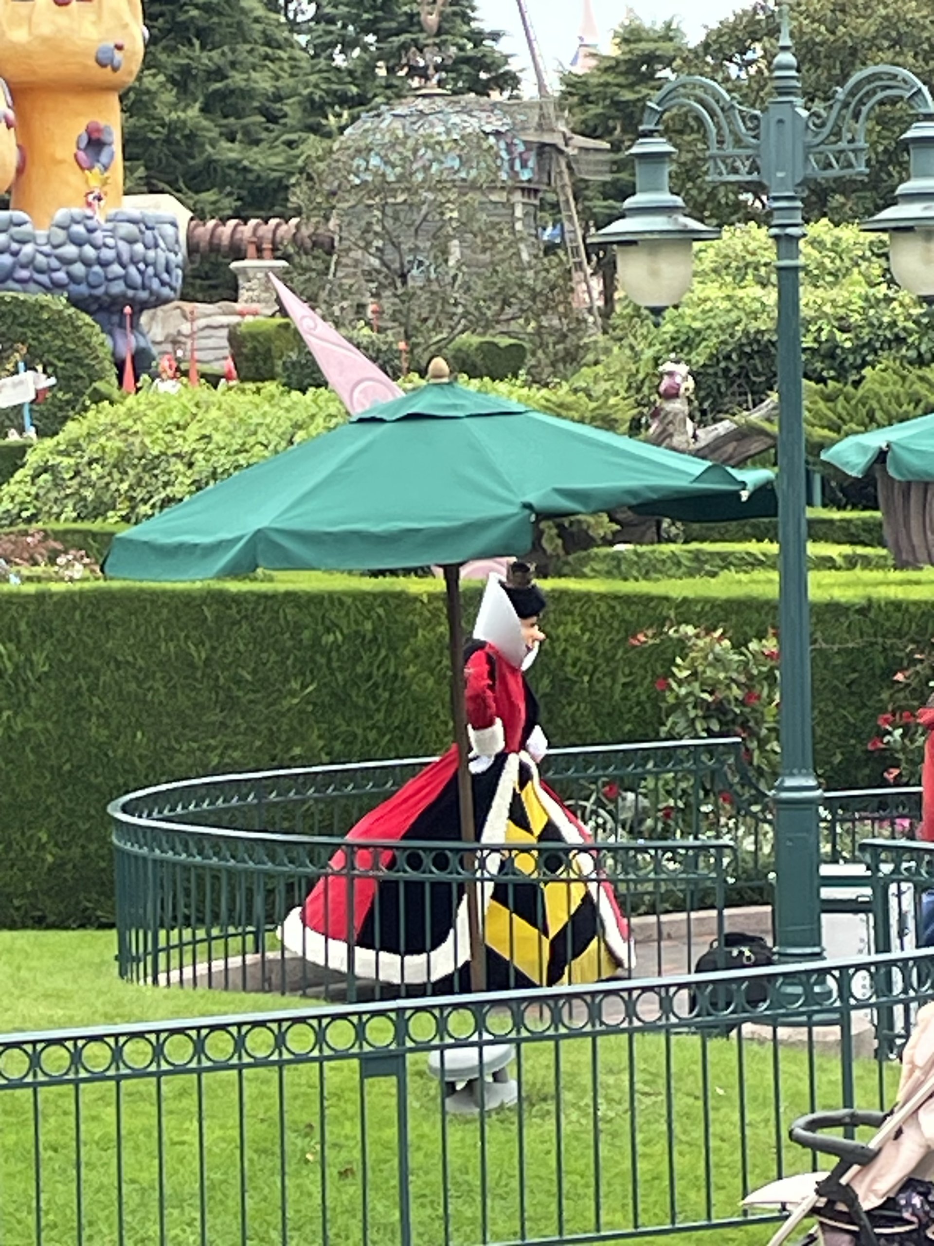 img_1005-jpeg.909202