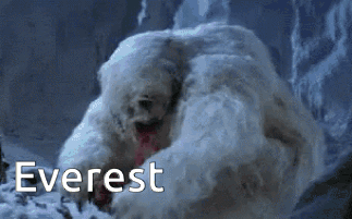 IMG_1221.gif