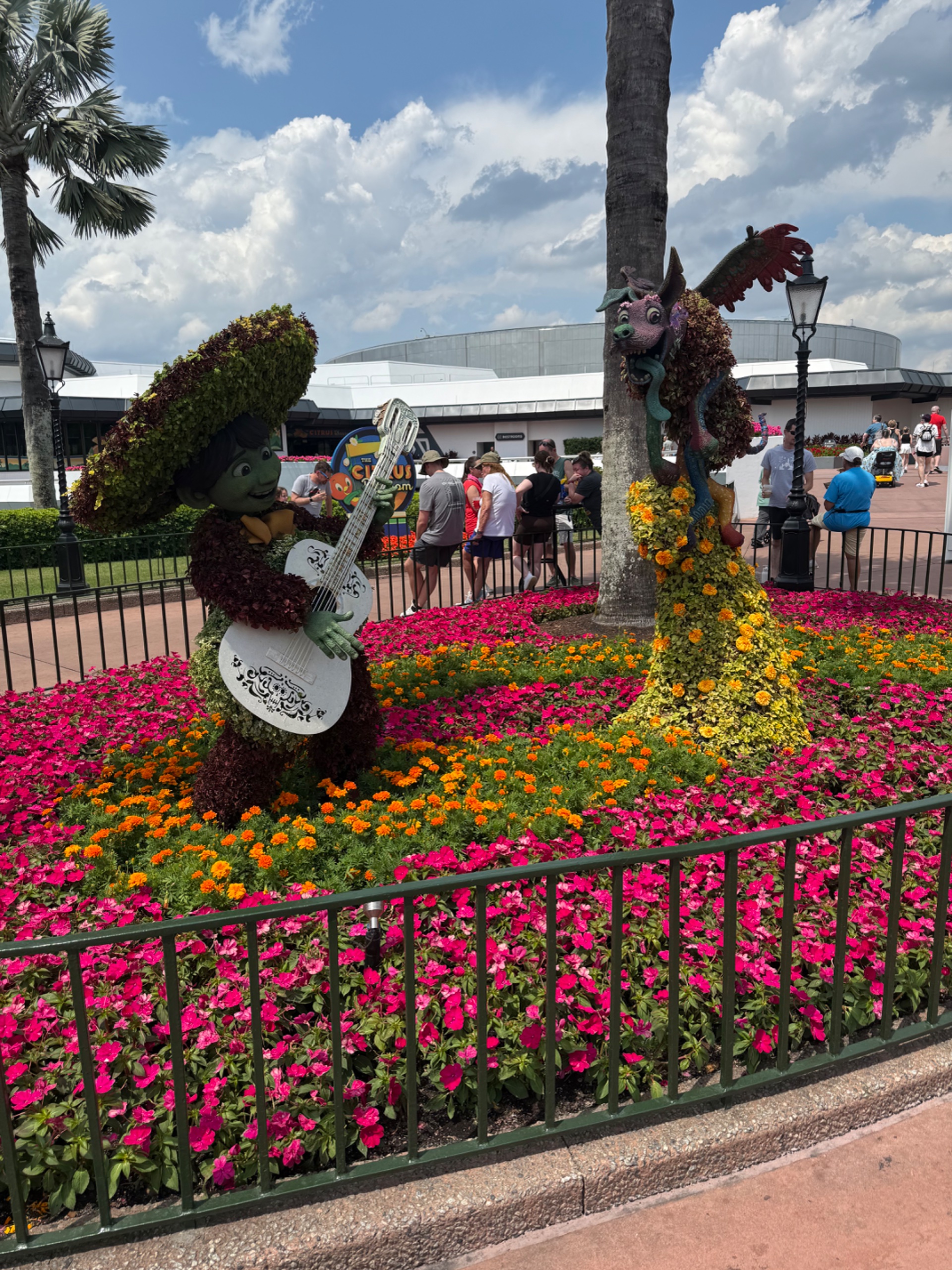 IMG_1411.jpeg
