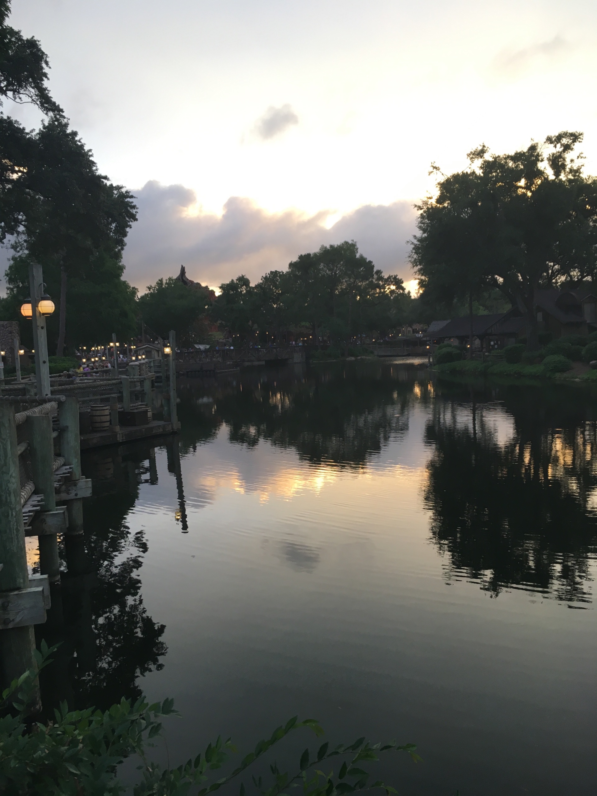 IMG_1947.jpeg