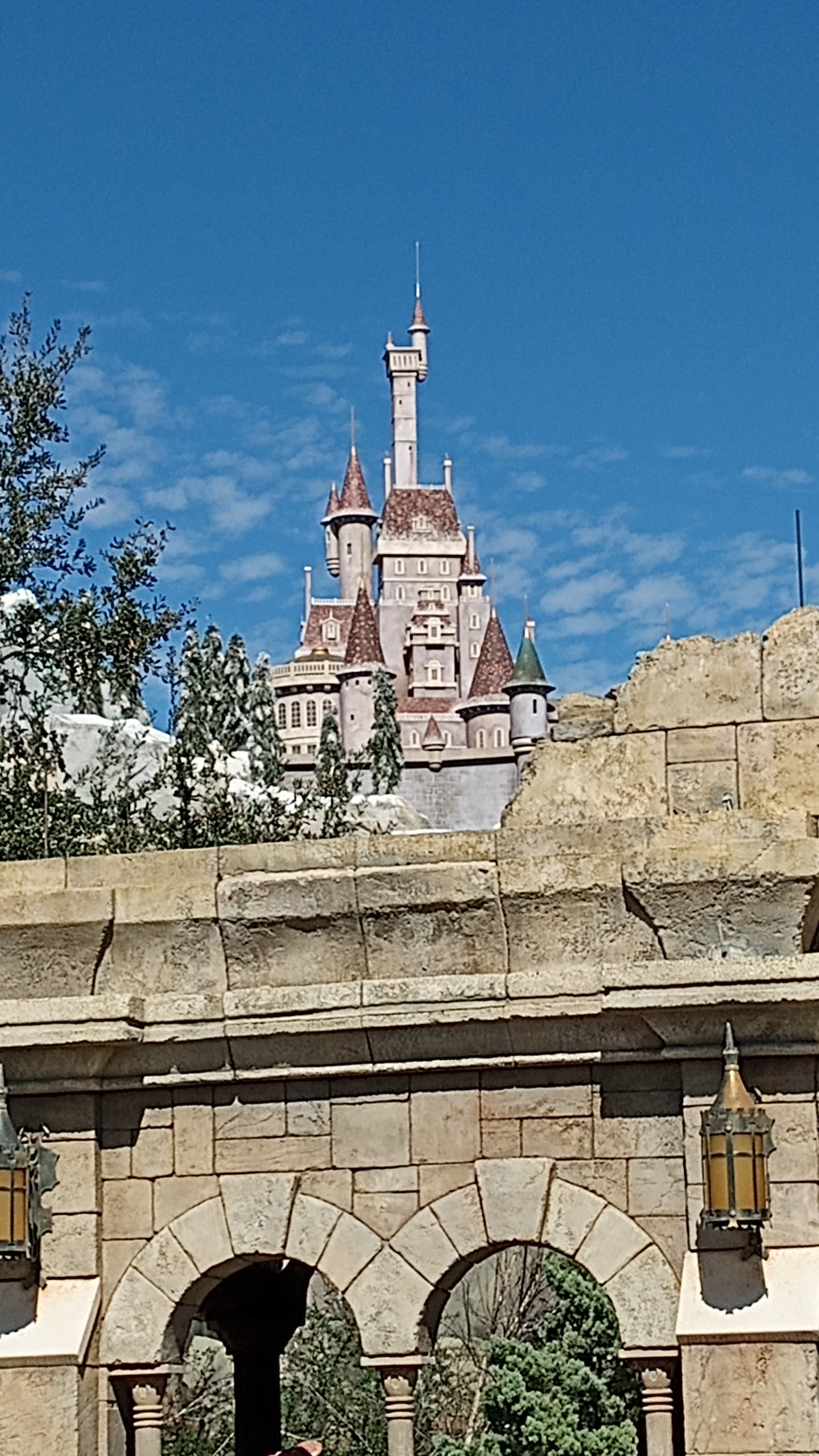 IMG_20250124_115630553.jpg