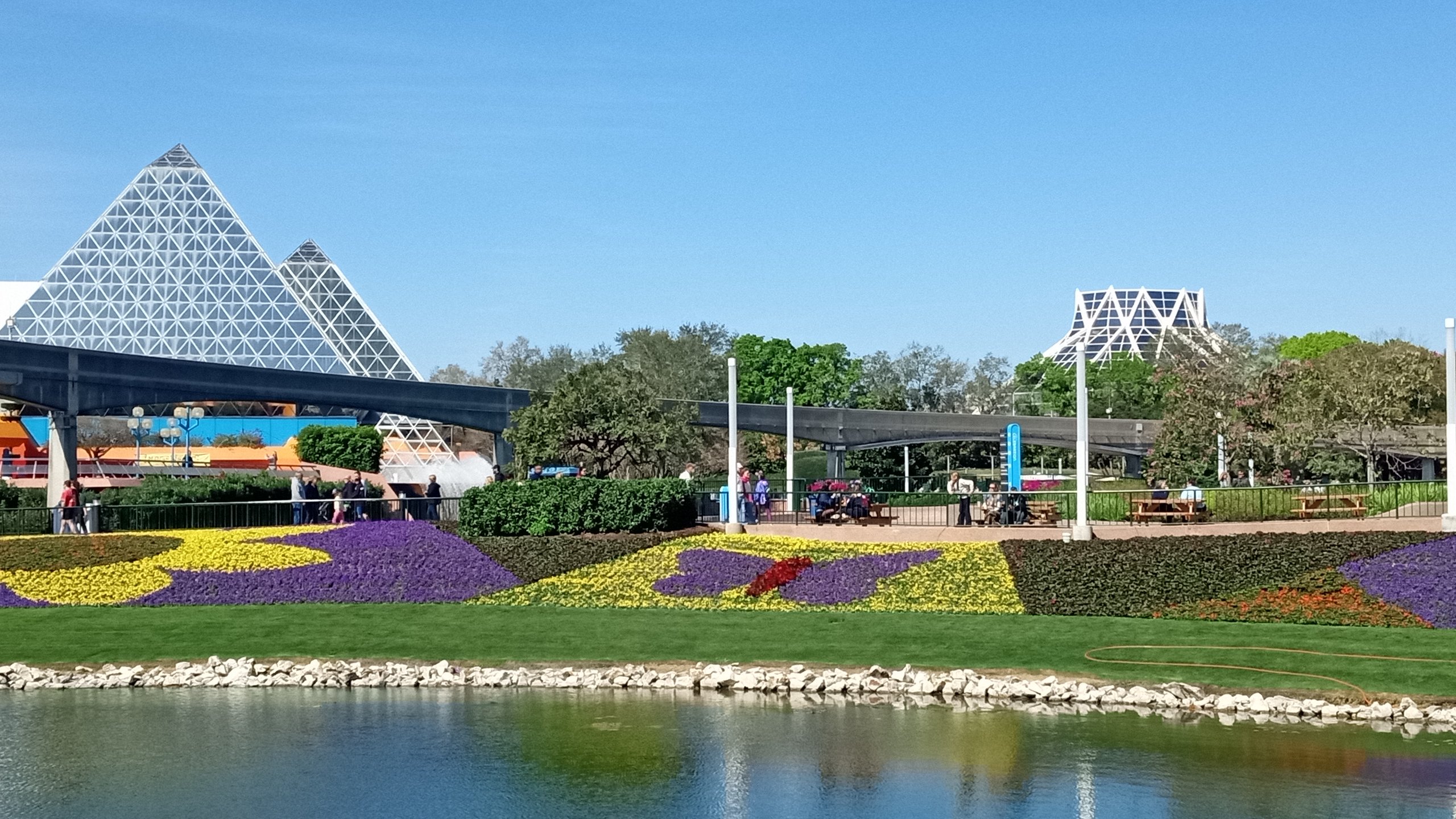 IMG_20250221_110105779.jpg