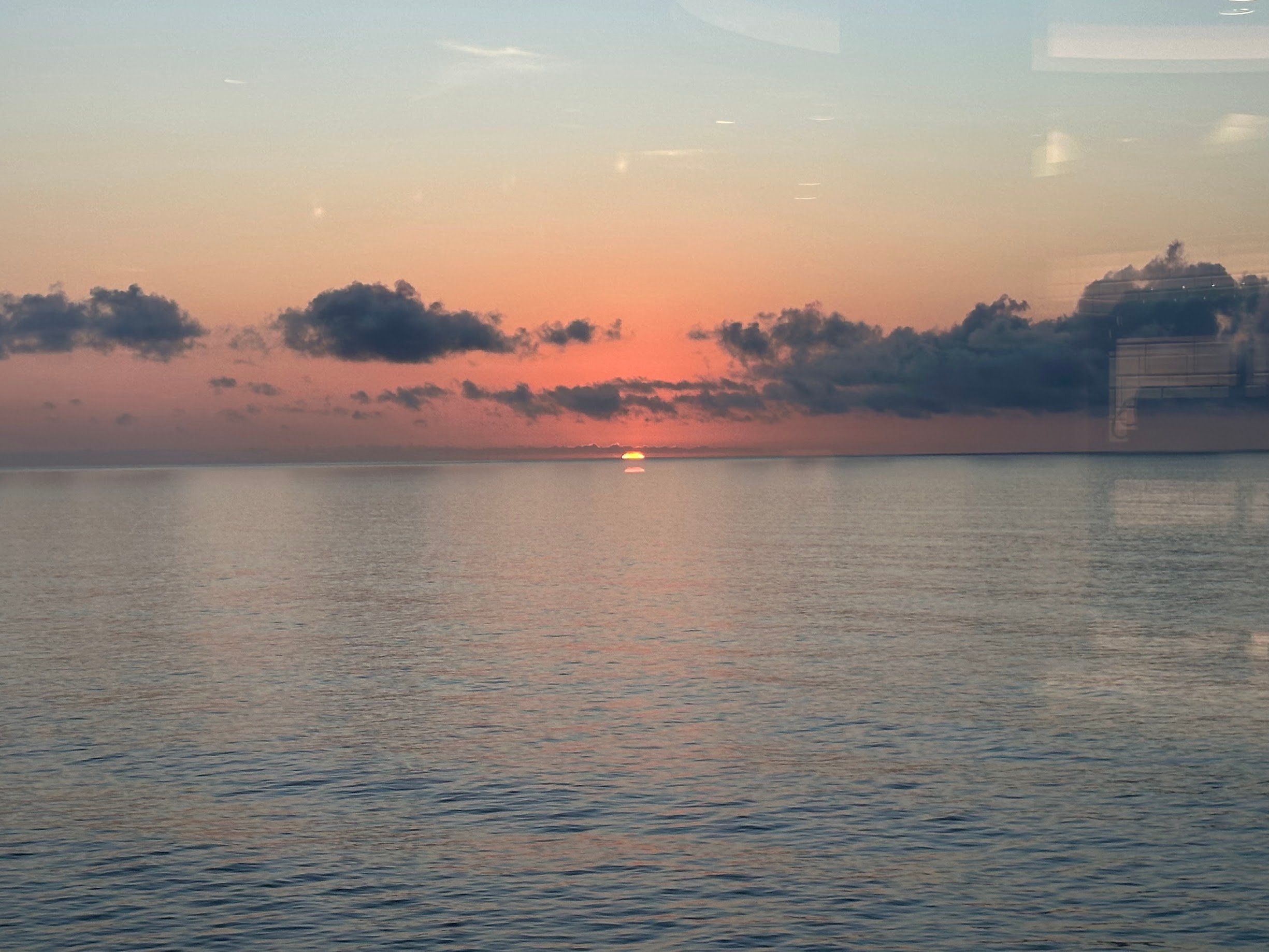IMG_20250304_140647.jpg