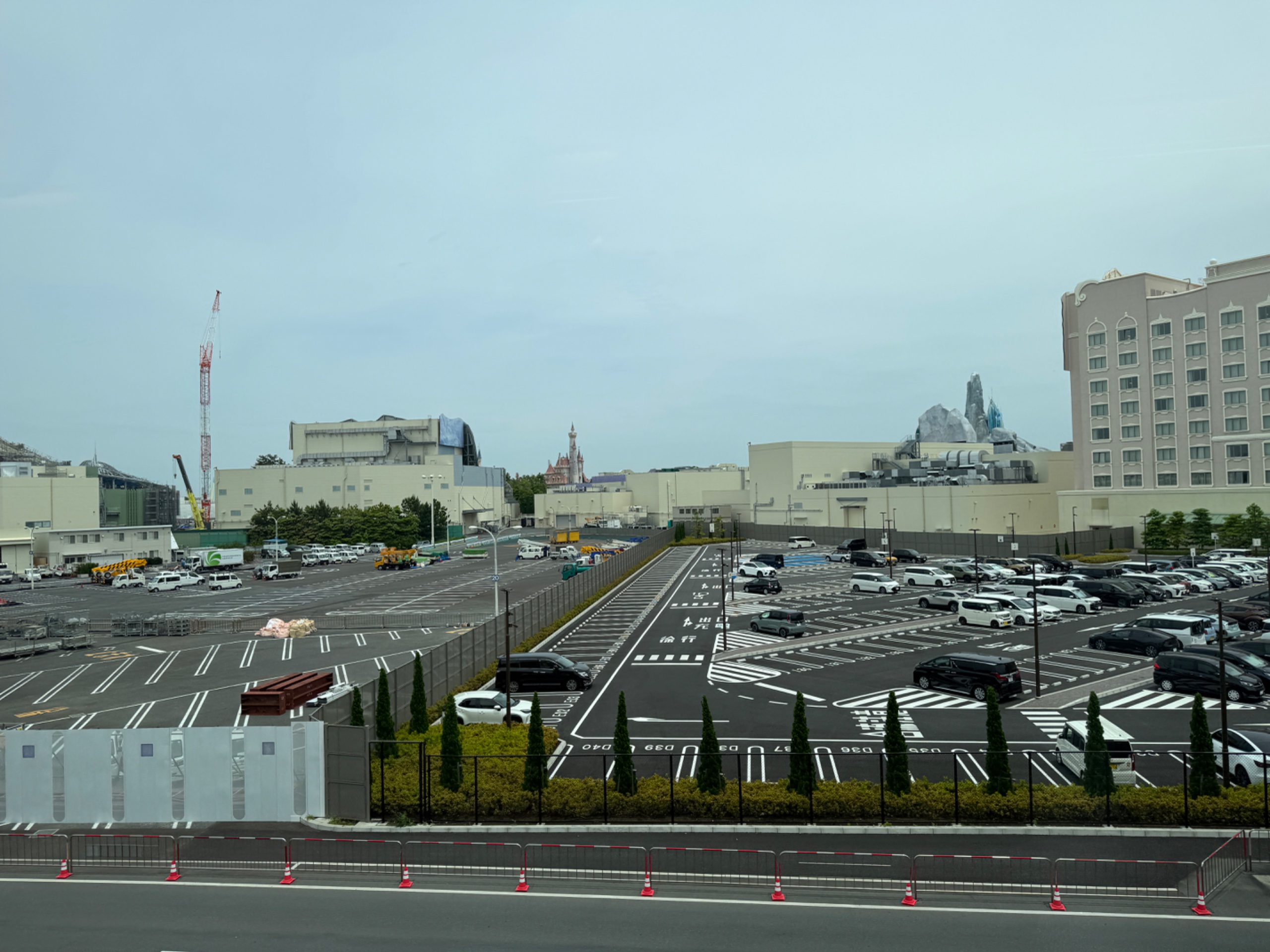 IMG_2185.jpeg