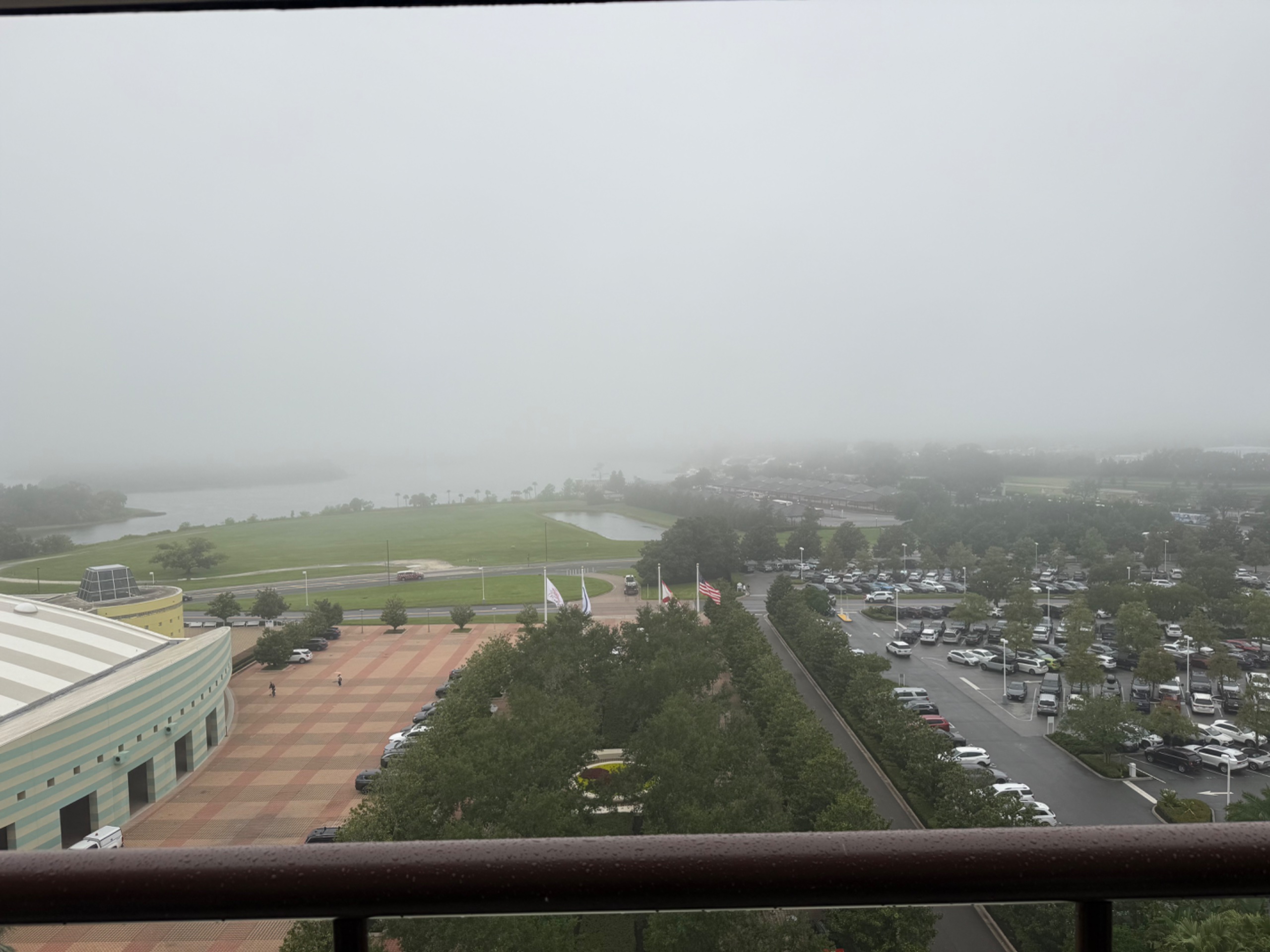 IMG_2494.jpeg