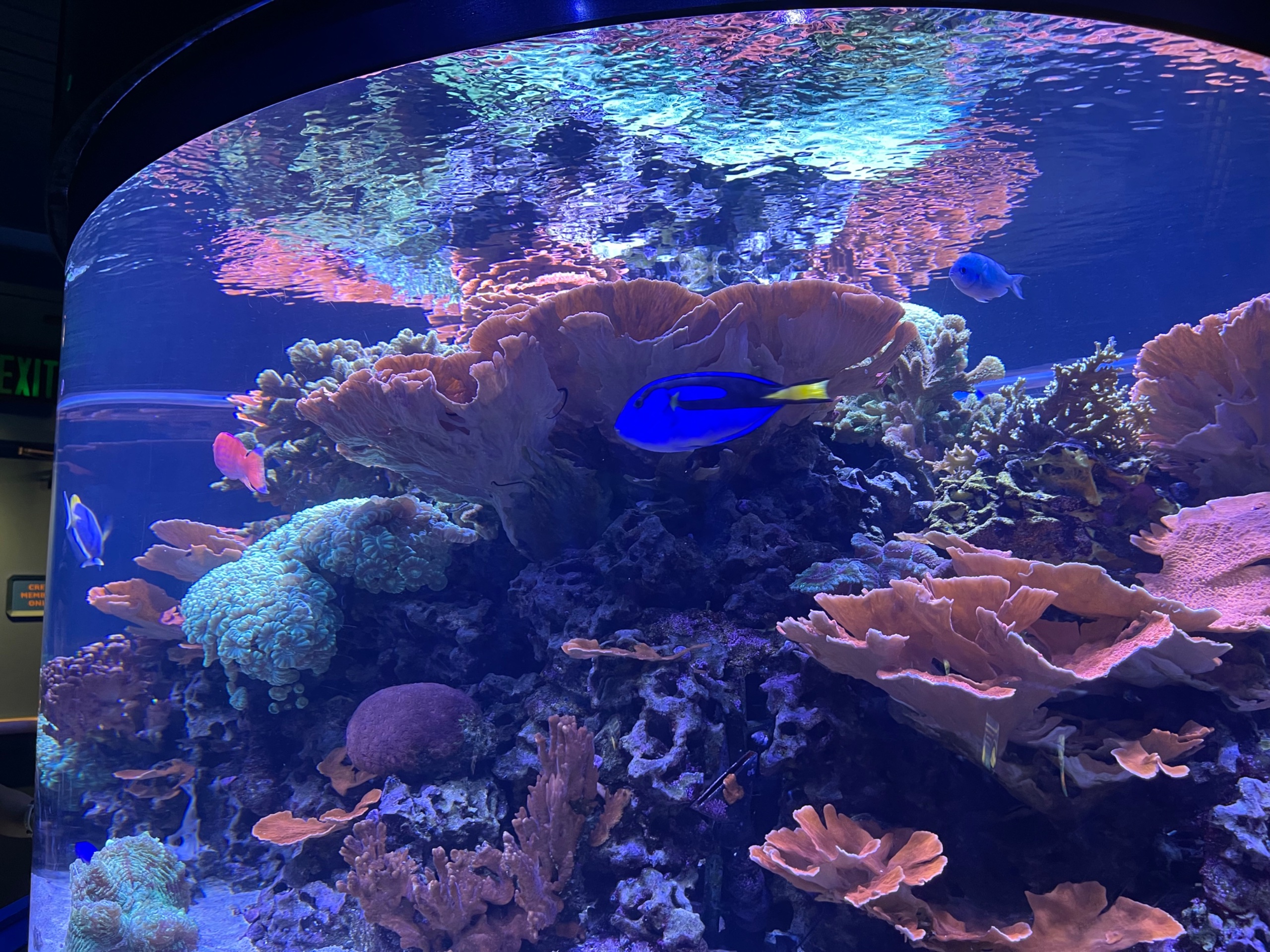 IMG_3011.jpeg