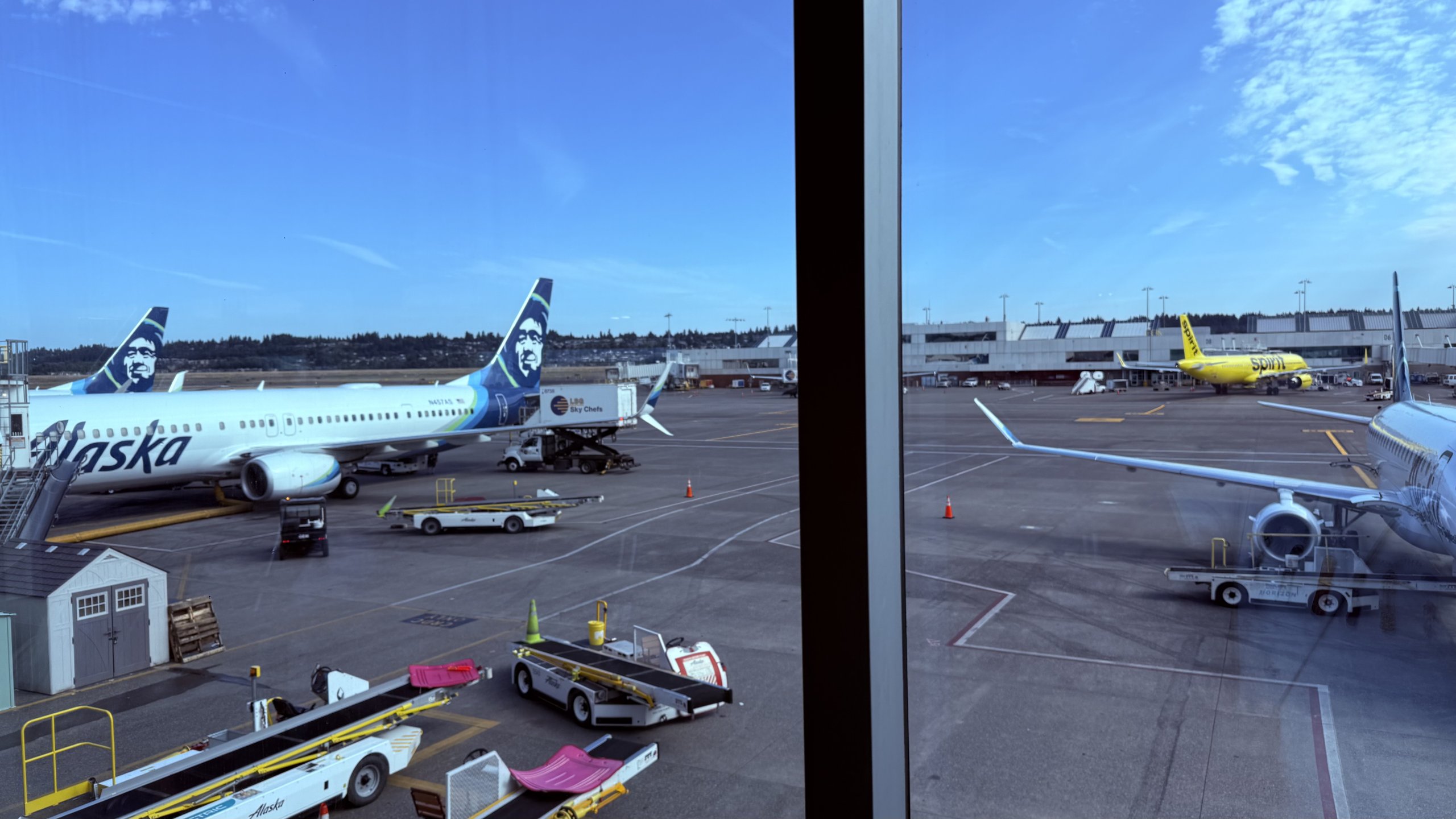 IMG_3424.jpeg