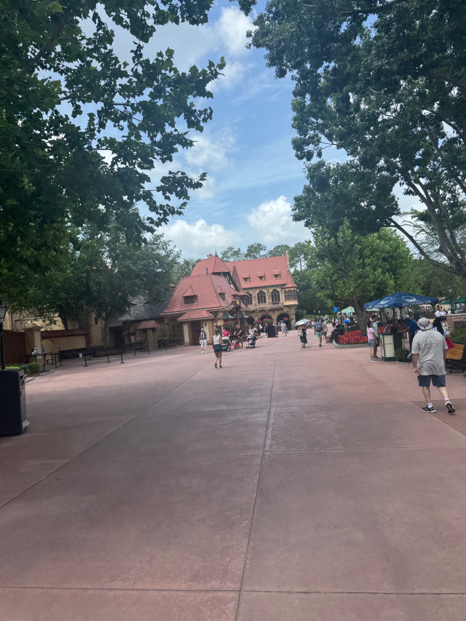 IMG_3441.jpeg