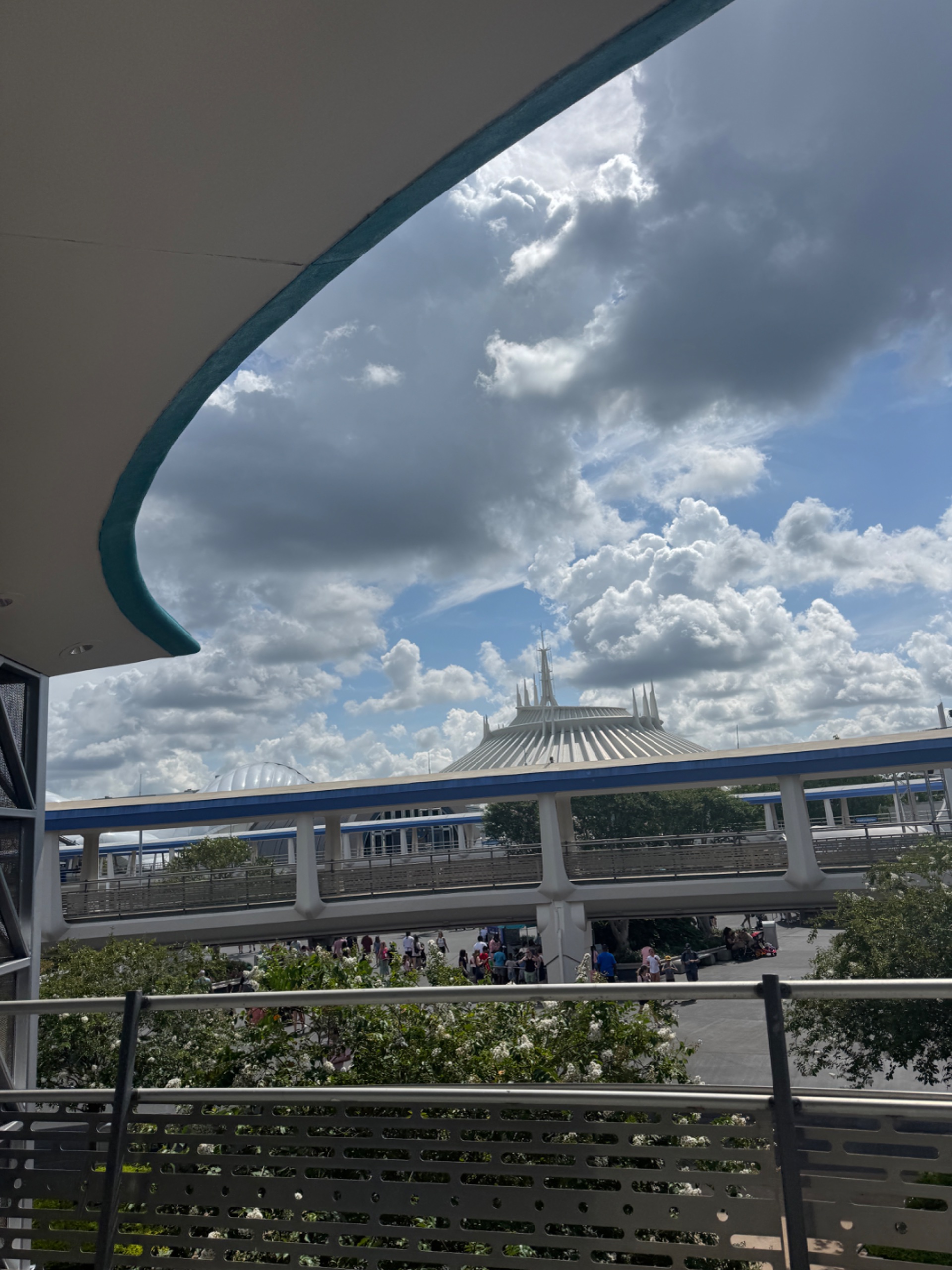 IMG_3516.jpeg