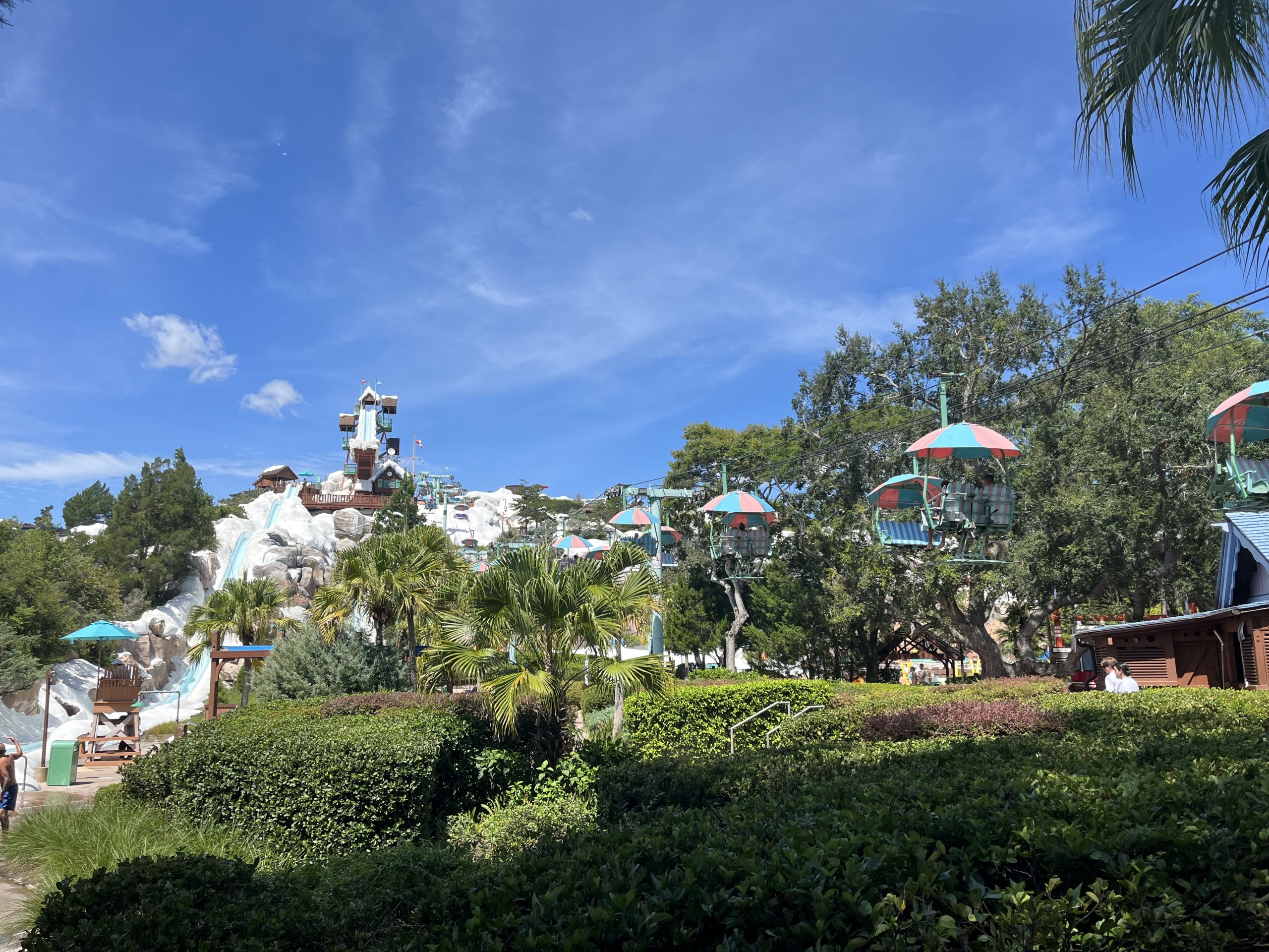 IMG_3554.JPG