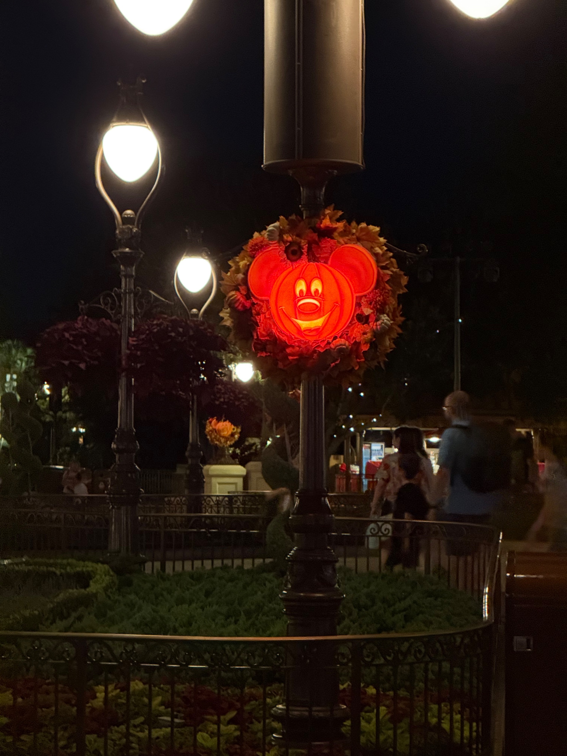 IMG_3623.jpeg