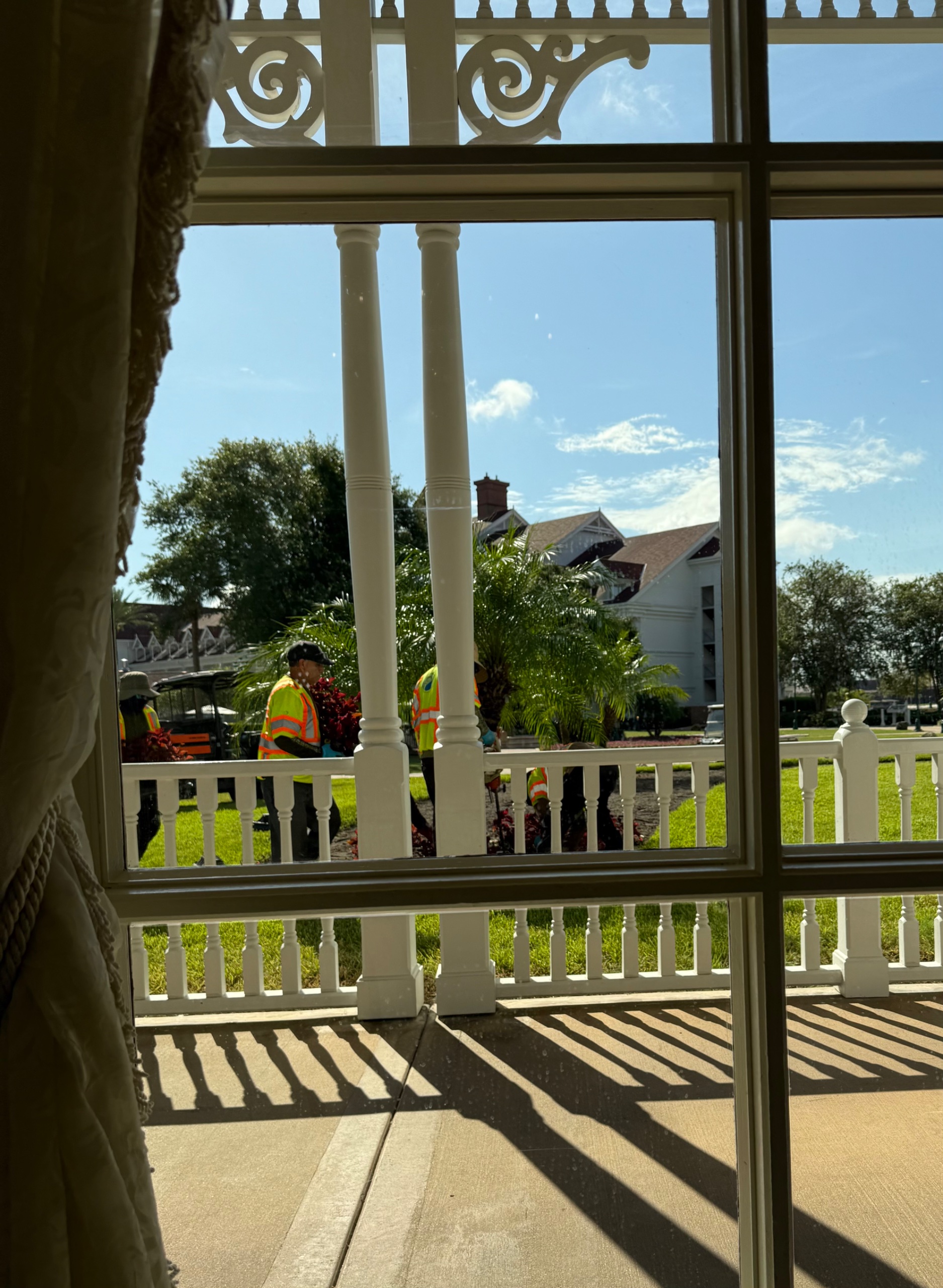 IMG_3646.jpeg
