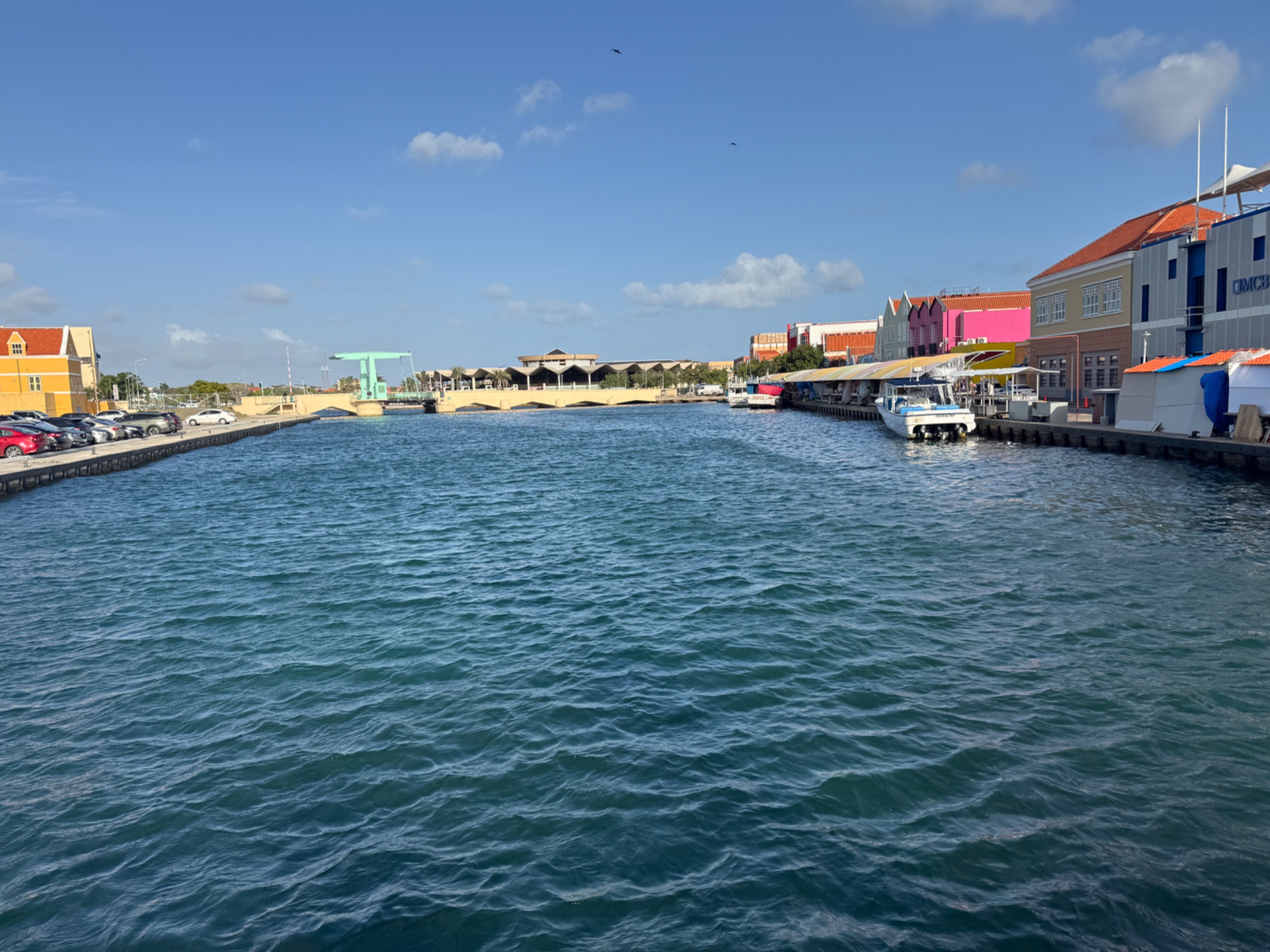 IMG_3777.jpeg
