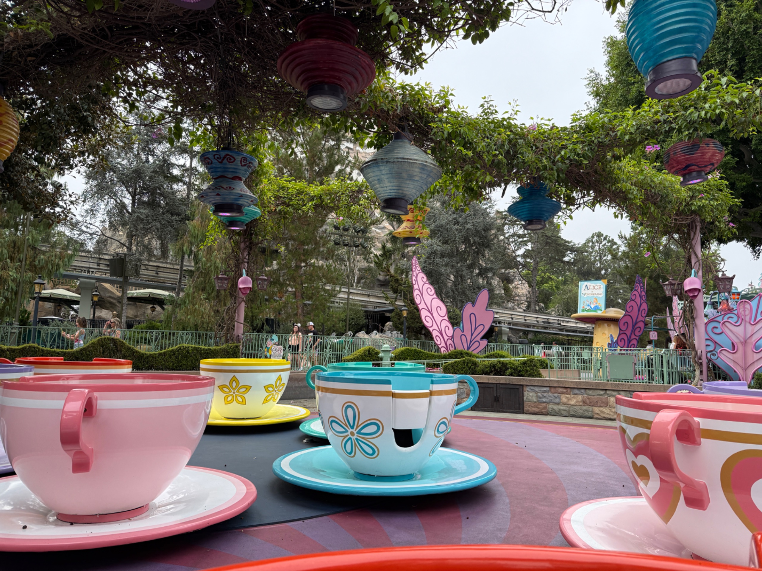 img_3941-jpeg.909152