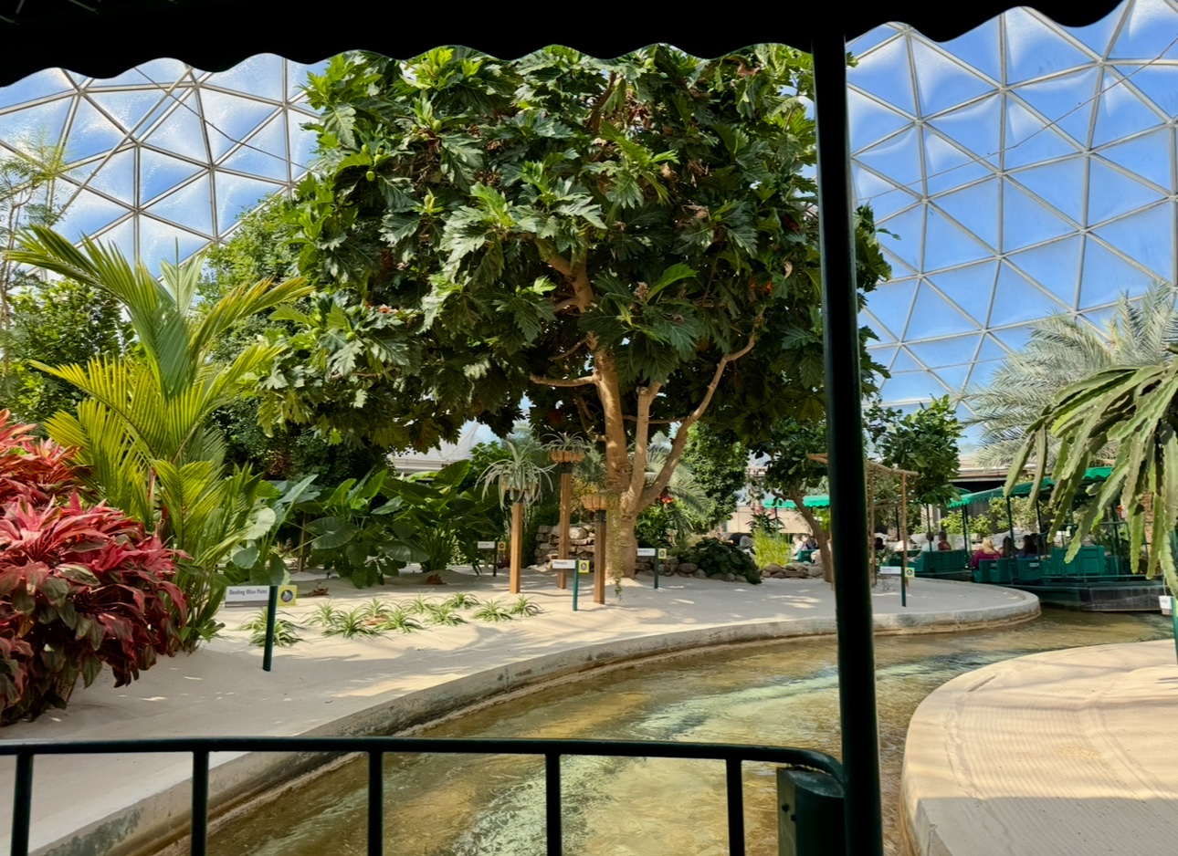 IMG_4873.jpeg