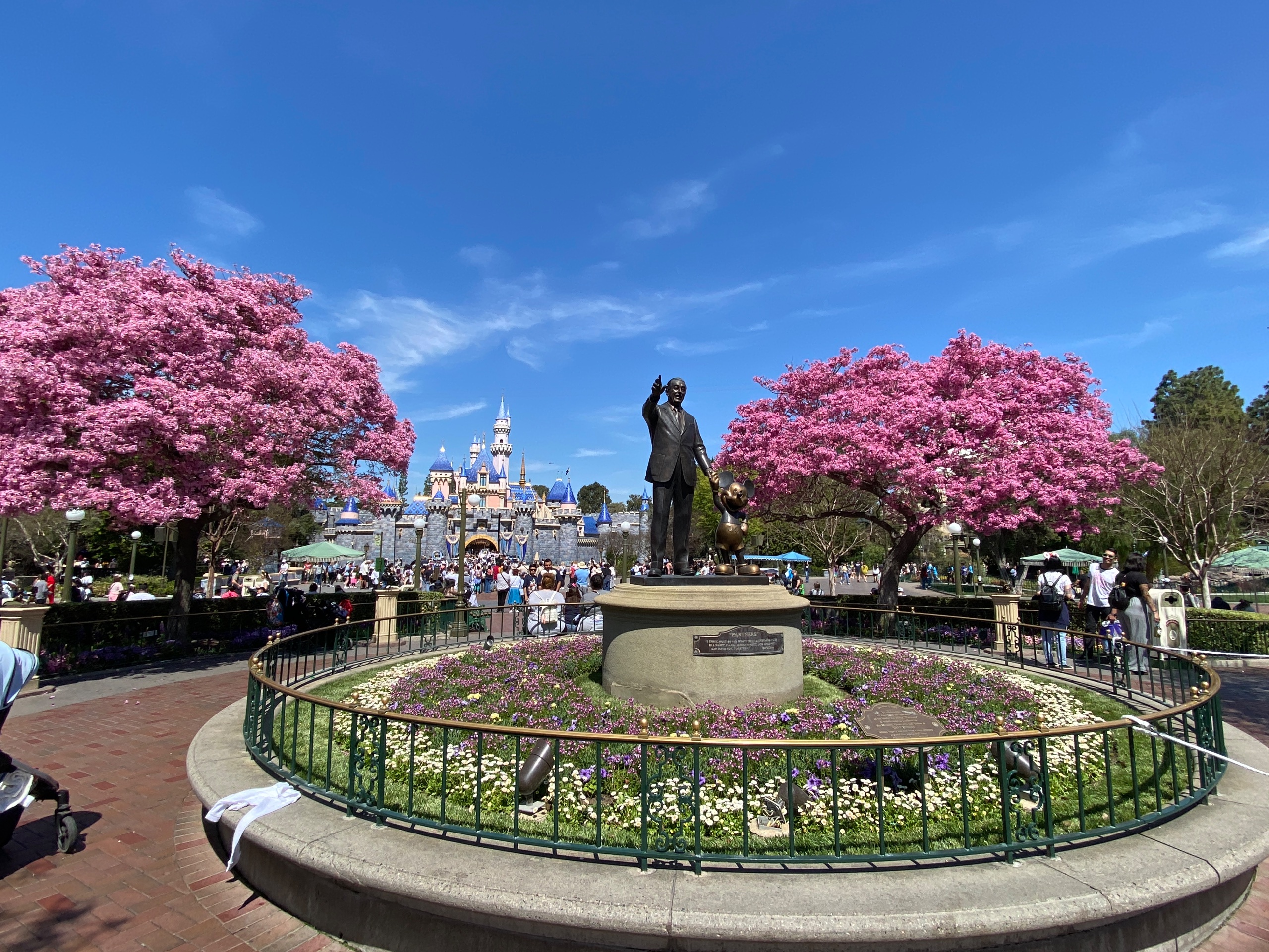 img_4947-jpeg.901799