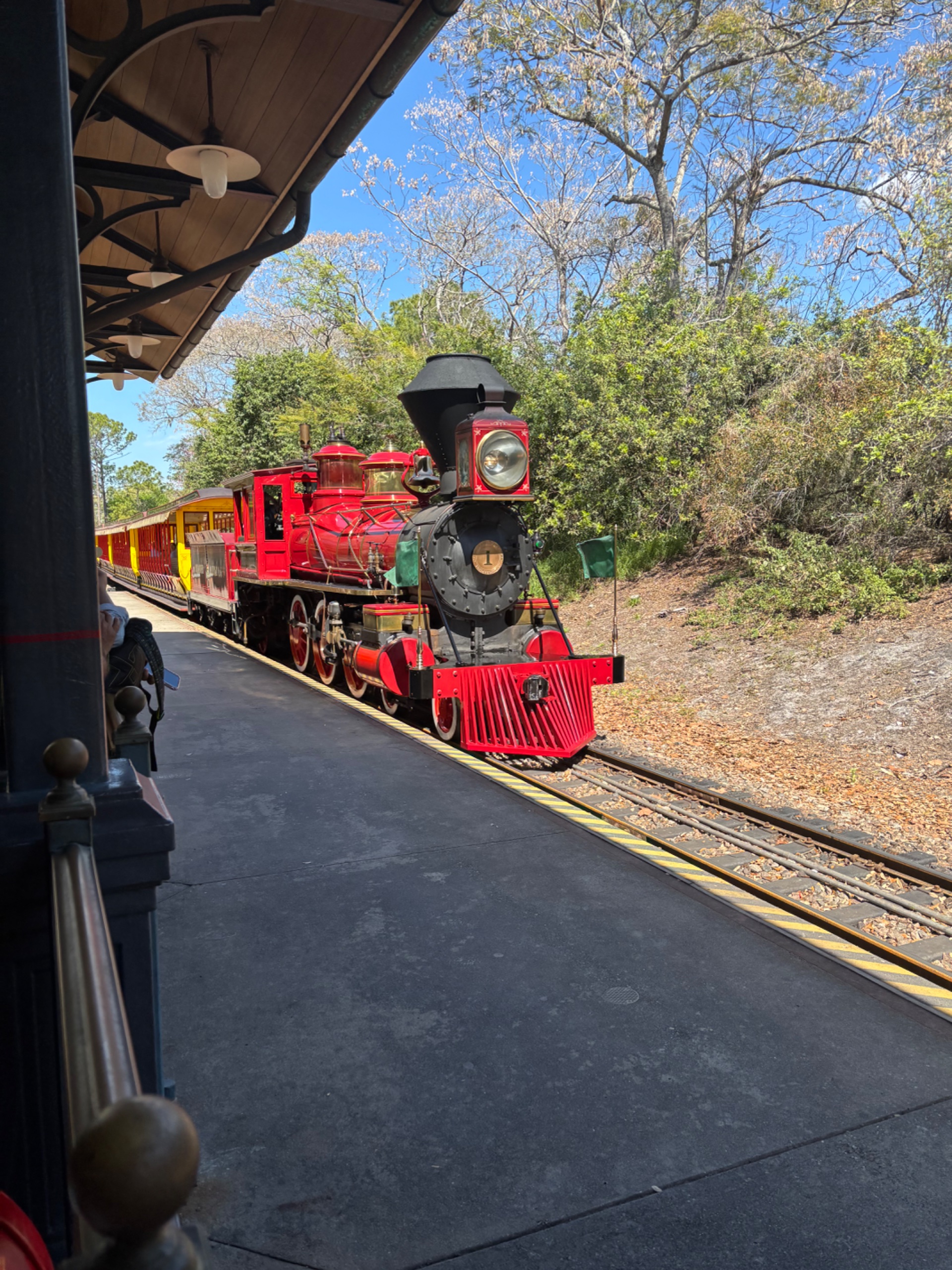 IMG_5084.jpeg