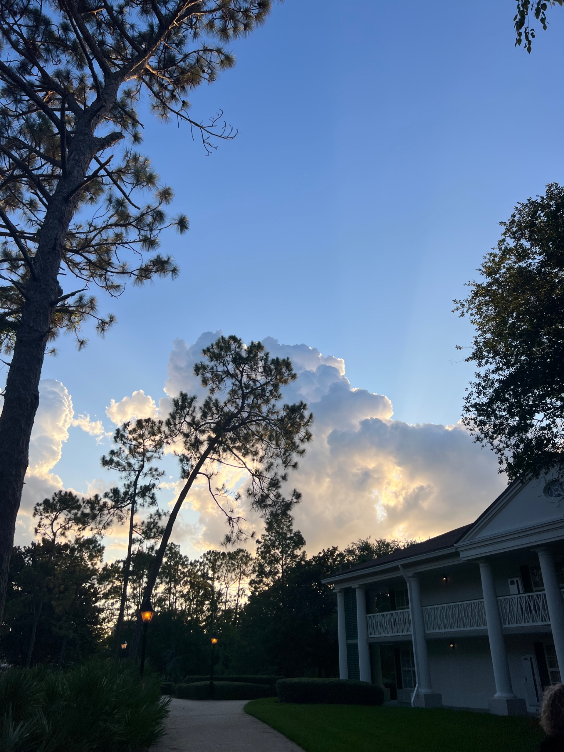 IMG_5192.jpeg