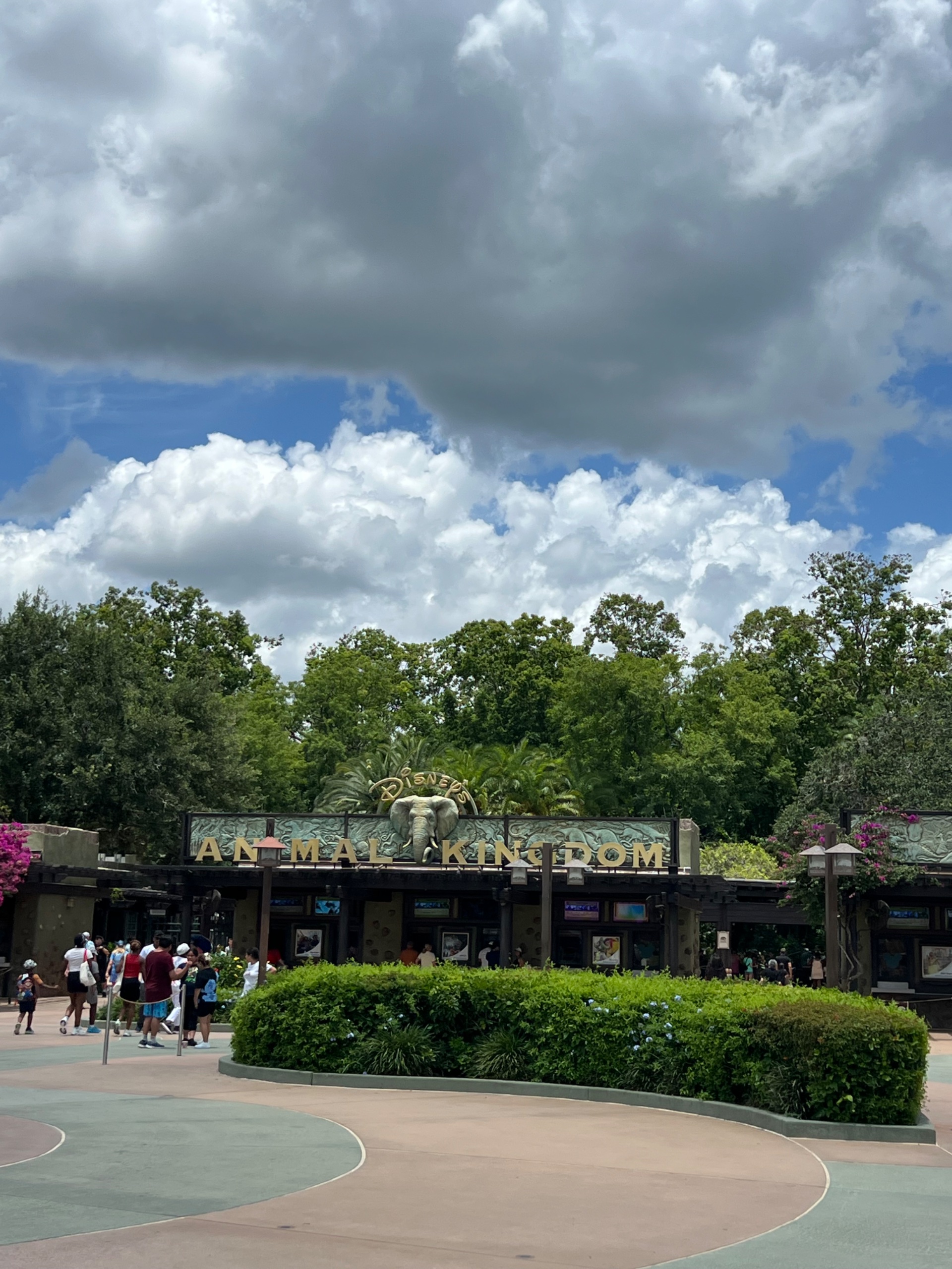 IMG_5316.jpeg