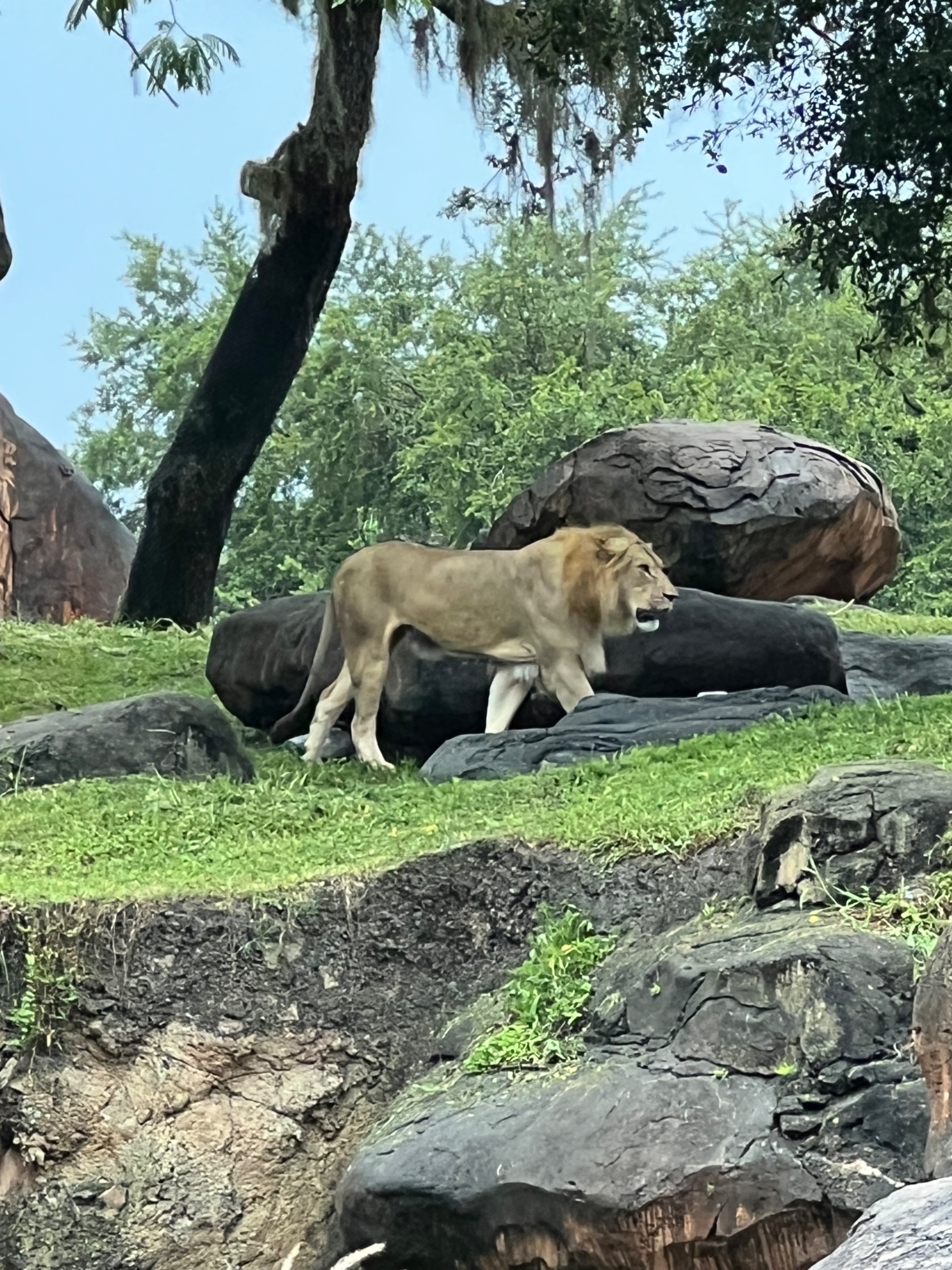 IMG_5359.jpeg