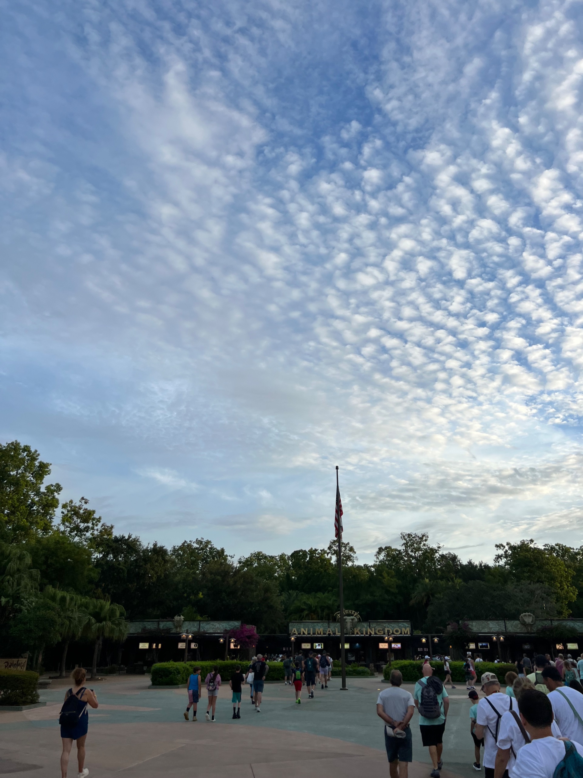 IMG_5411.jpeg