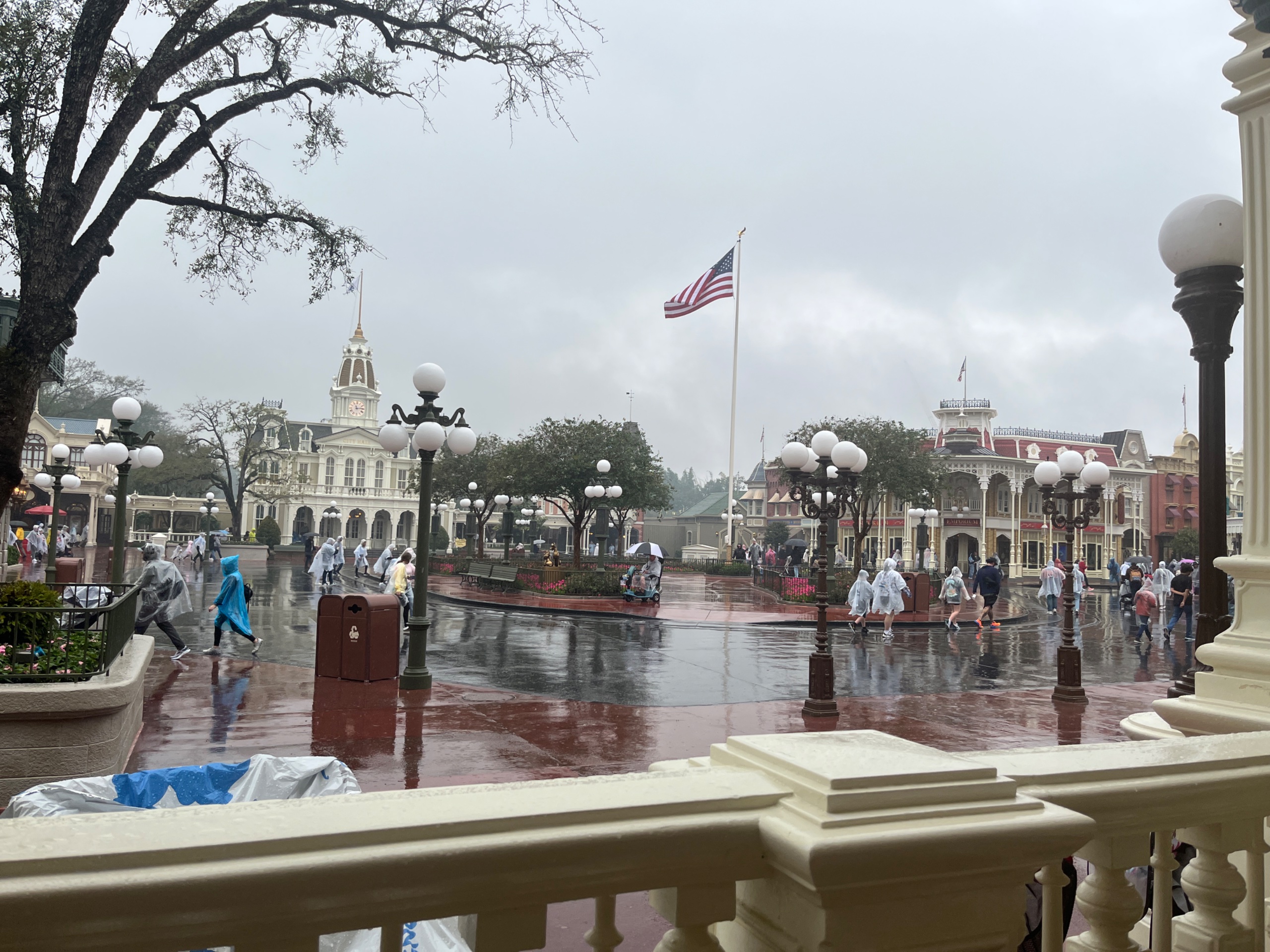 IMG_5423.jpeg