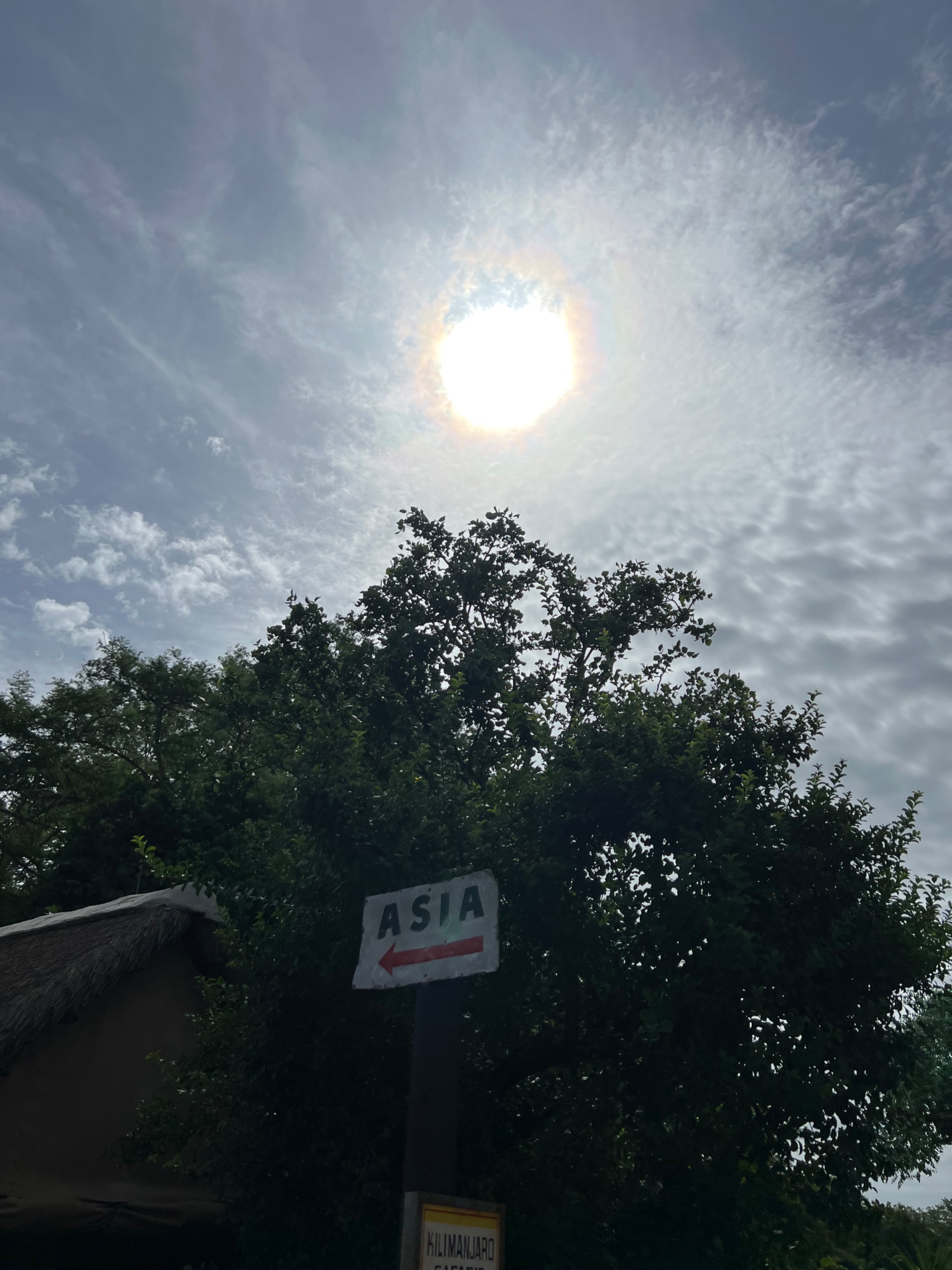 IMG_5423.jpeg