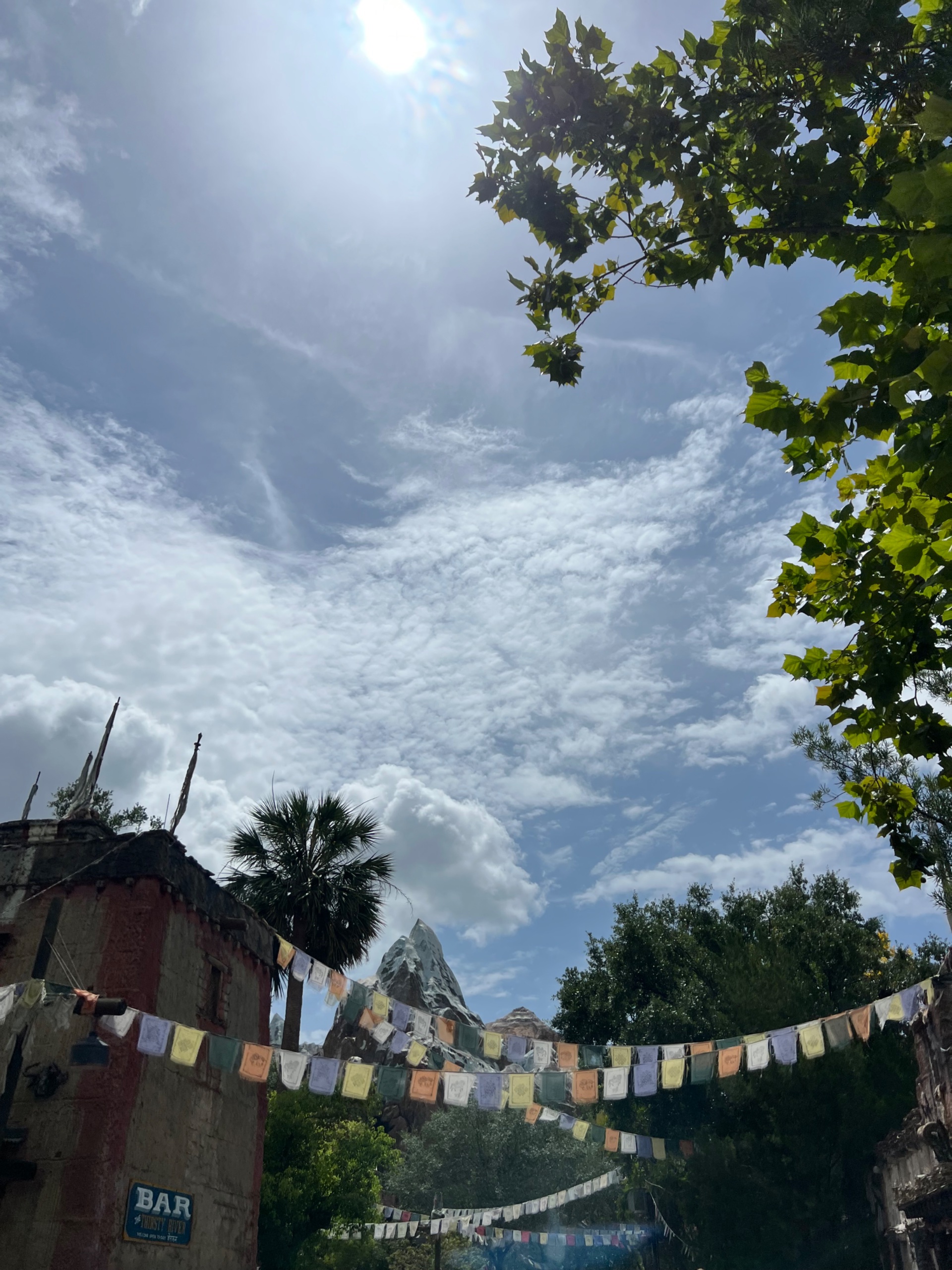 IMG_5433.jpeg