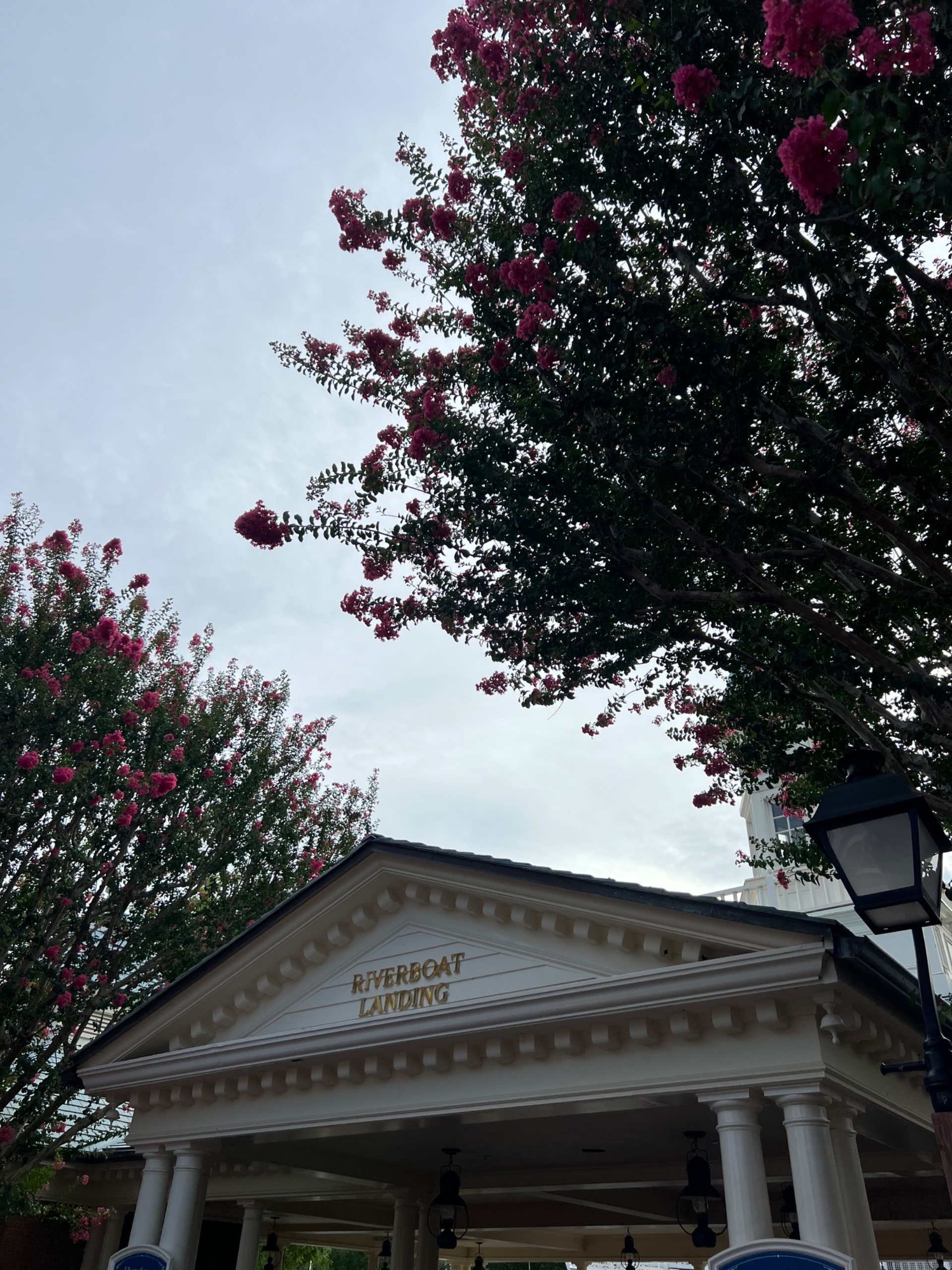 IMG_5487.jpeg