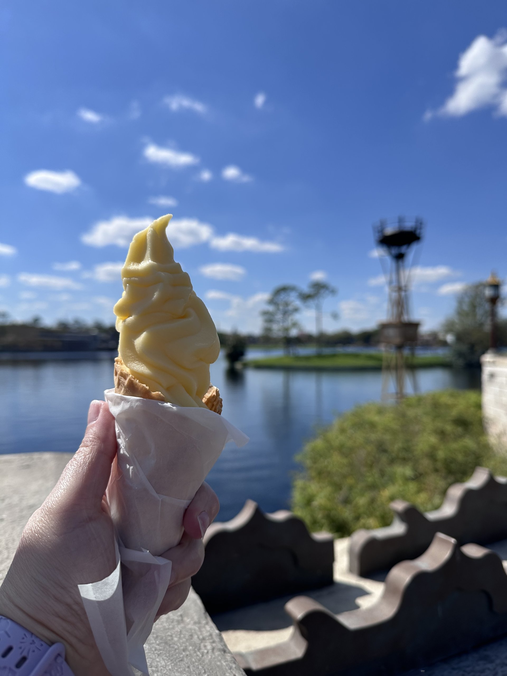 IMG_5597.jpeg