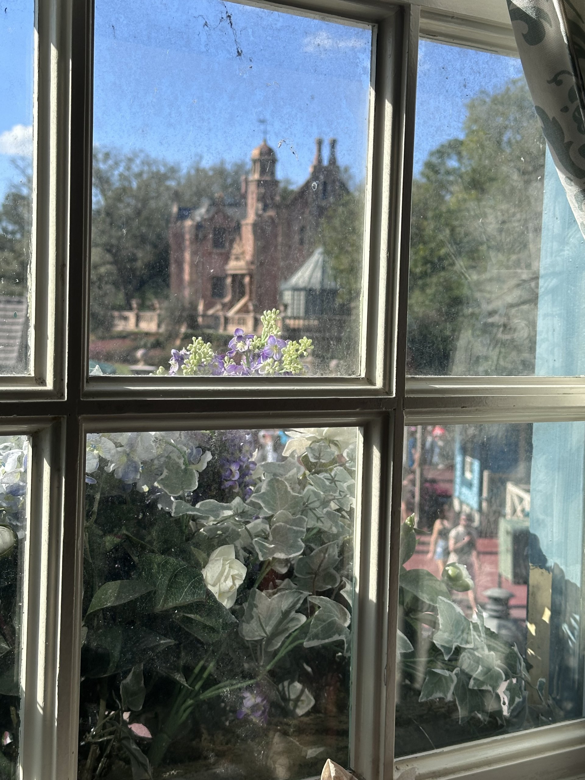 IMG_5621.jpeg