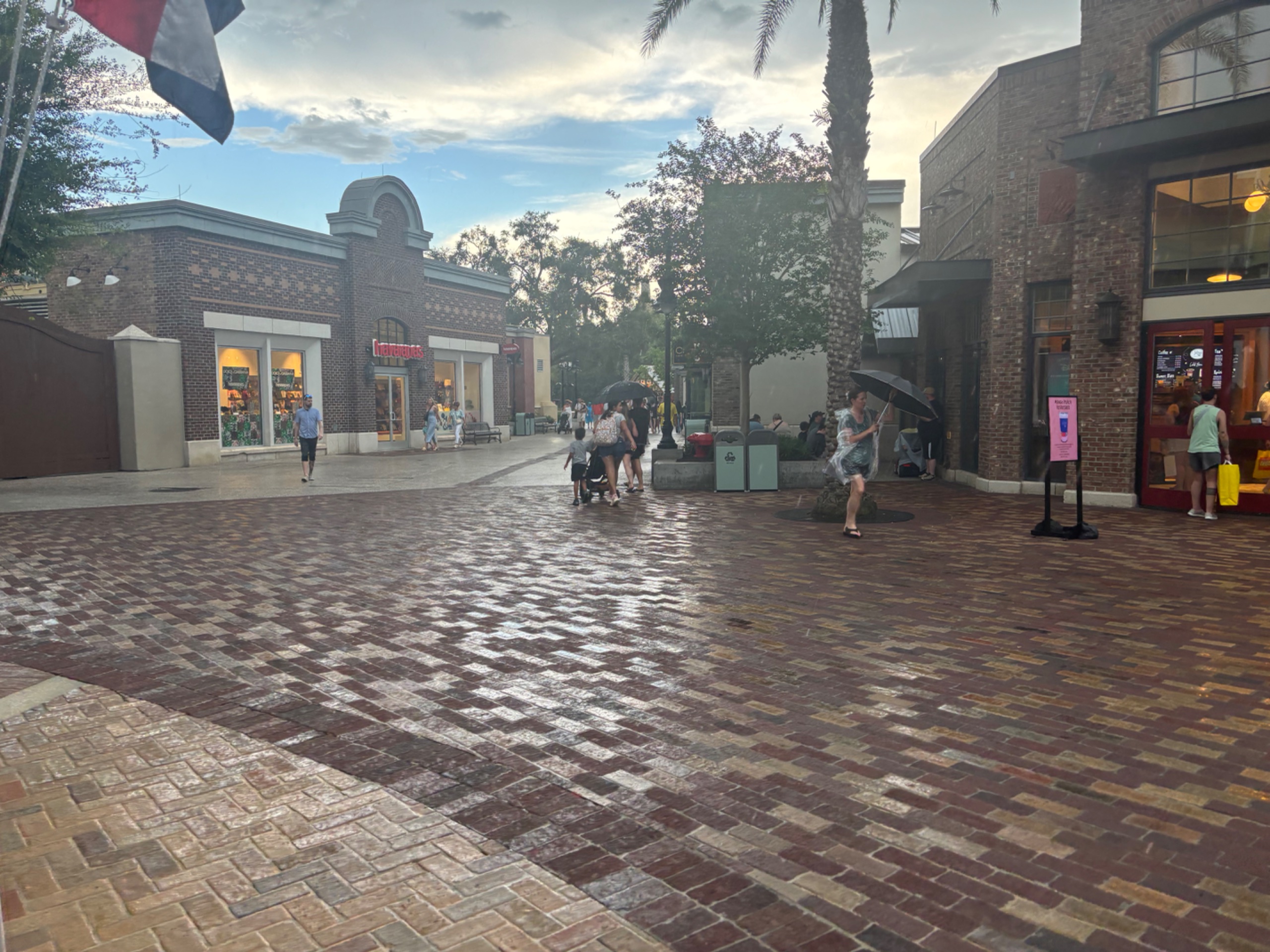 IMG_5715.jpeg
