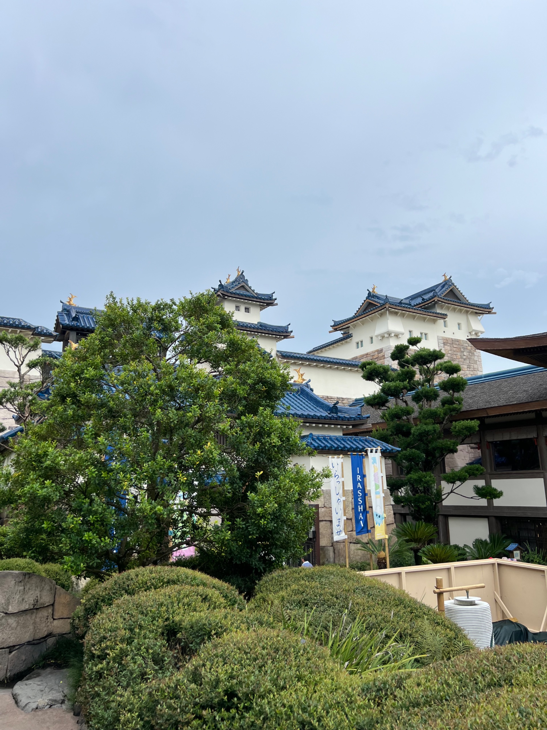 IMG_5715.jpeg