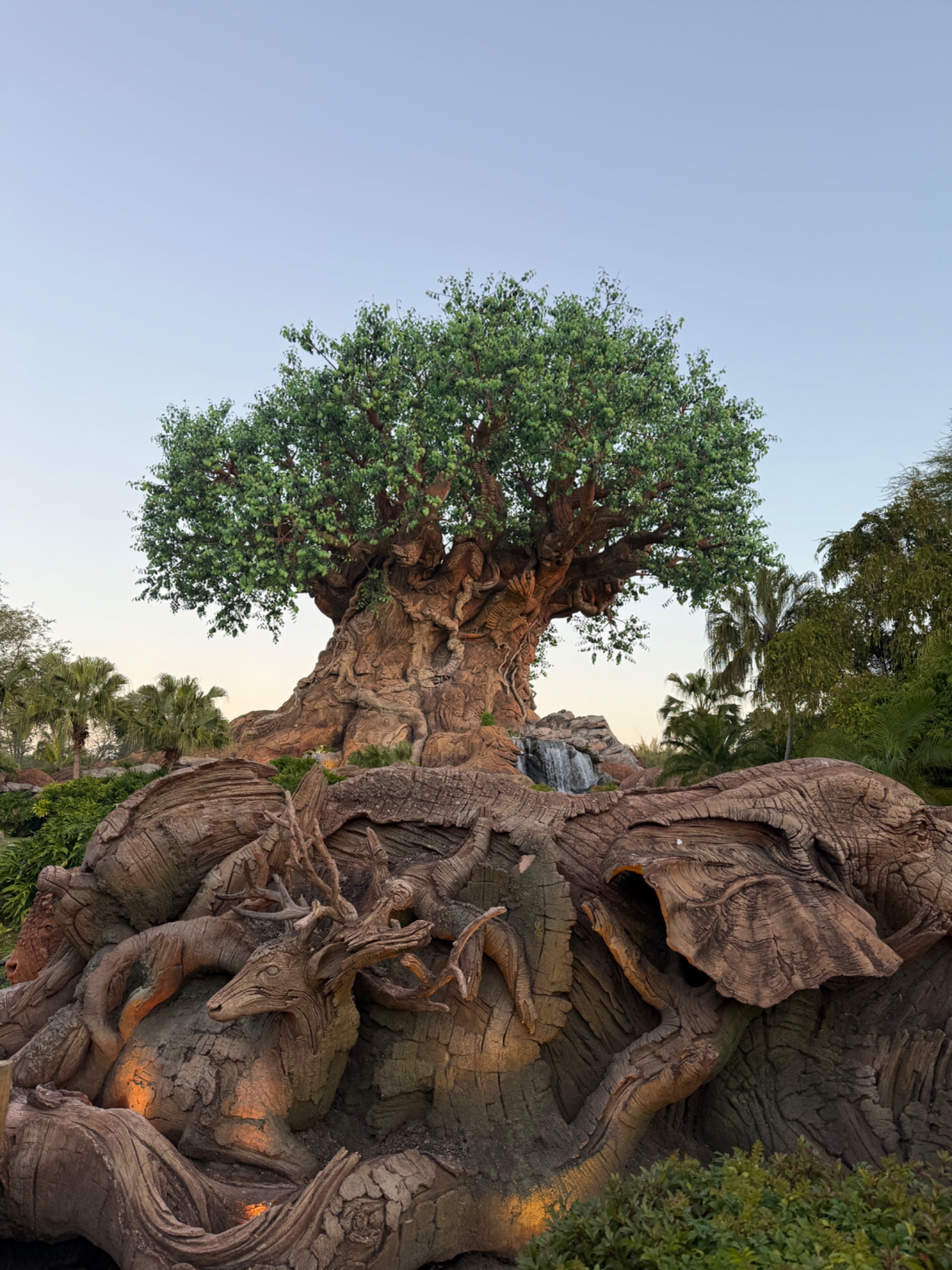 img_5733-jpeg.906578