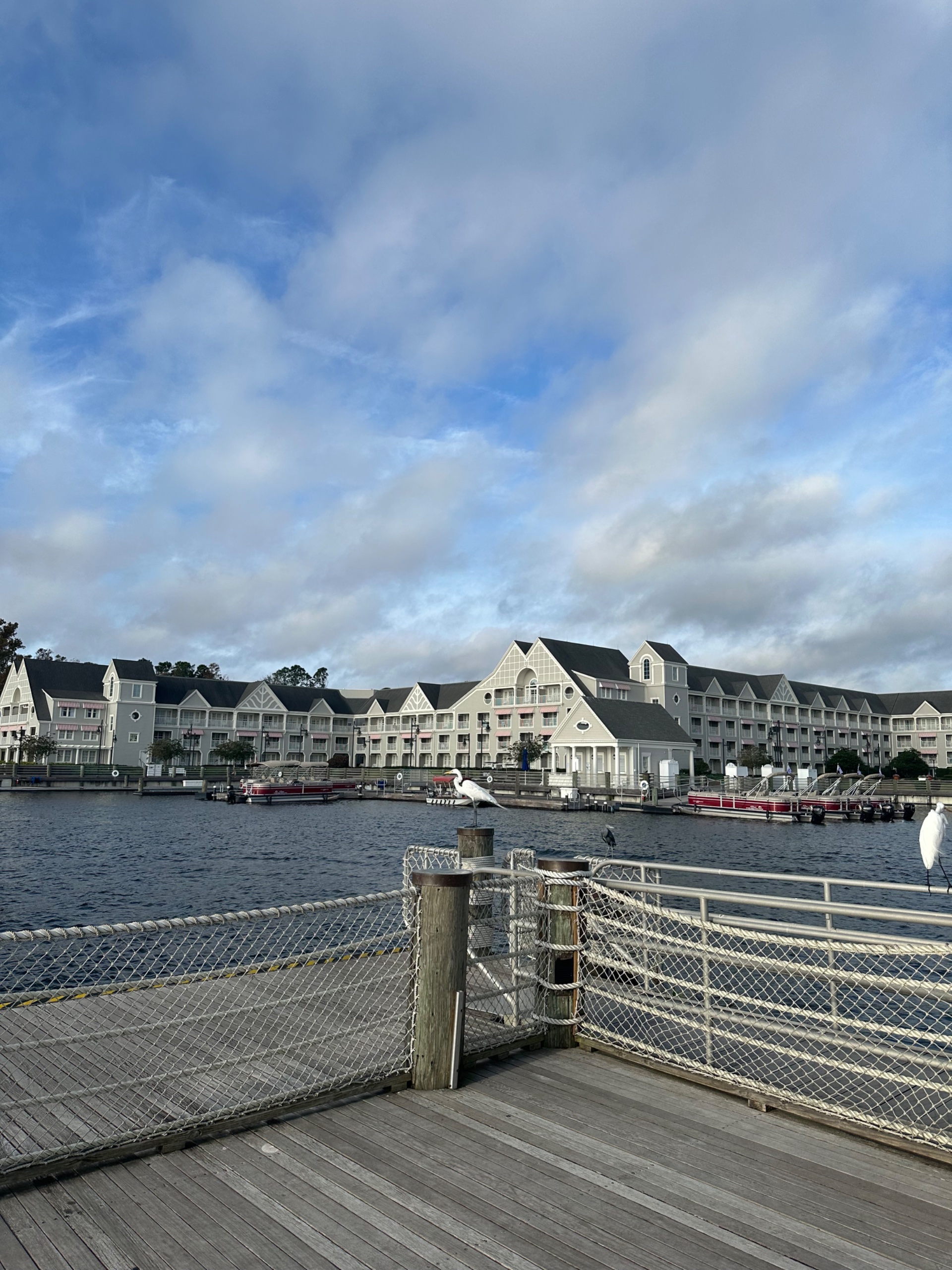 IMG_5756.jpeg