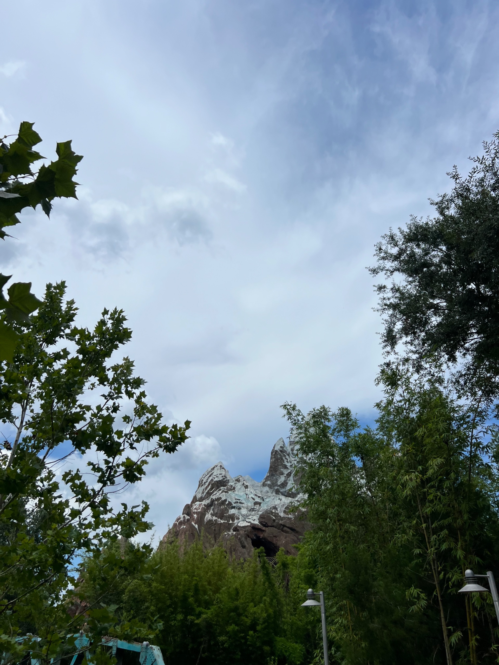 IMG_5846.jpeg