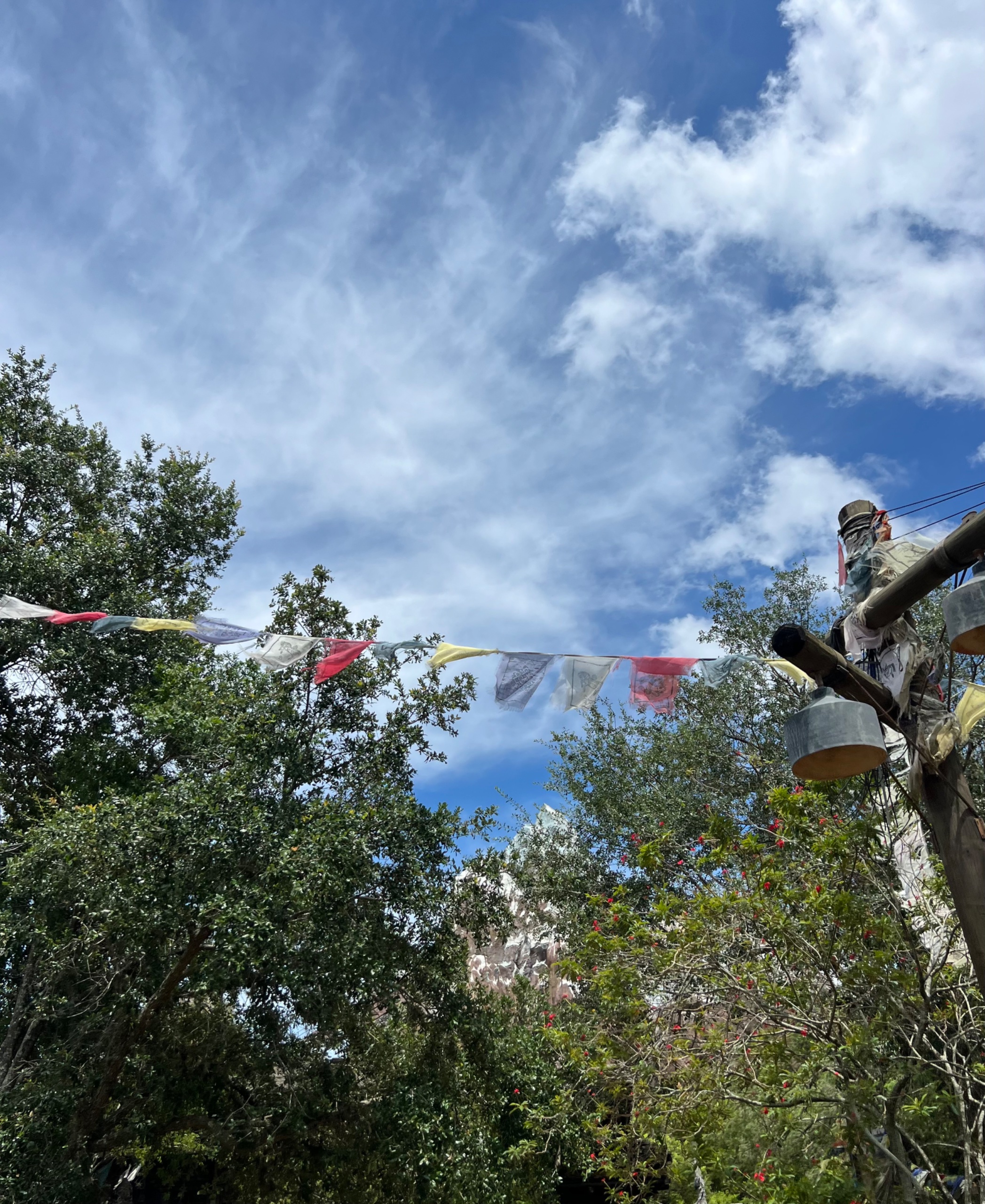 IMG_5847.jpeg