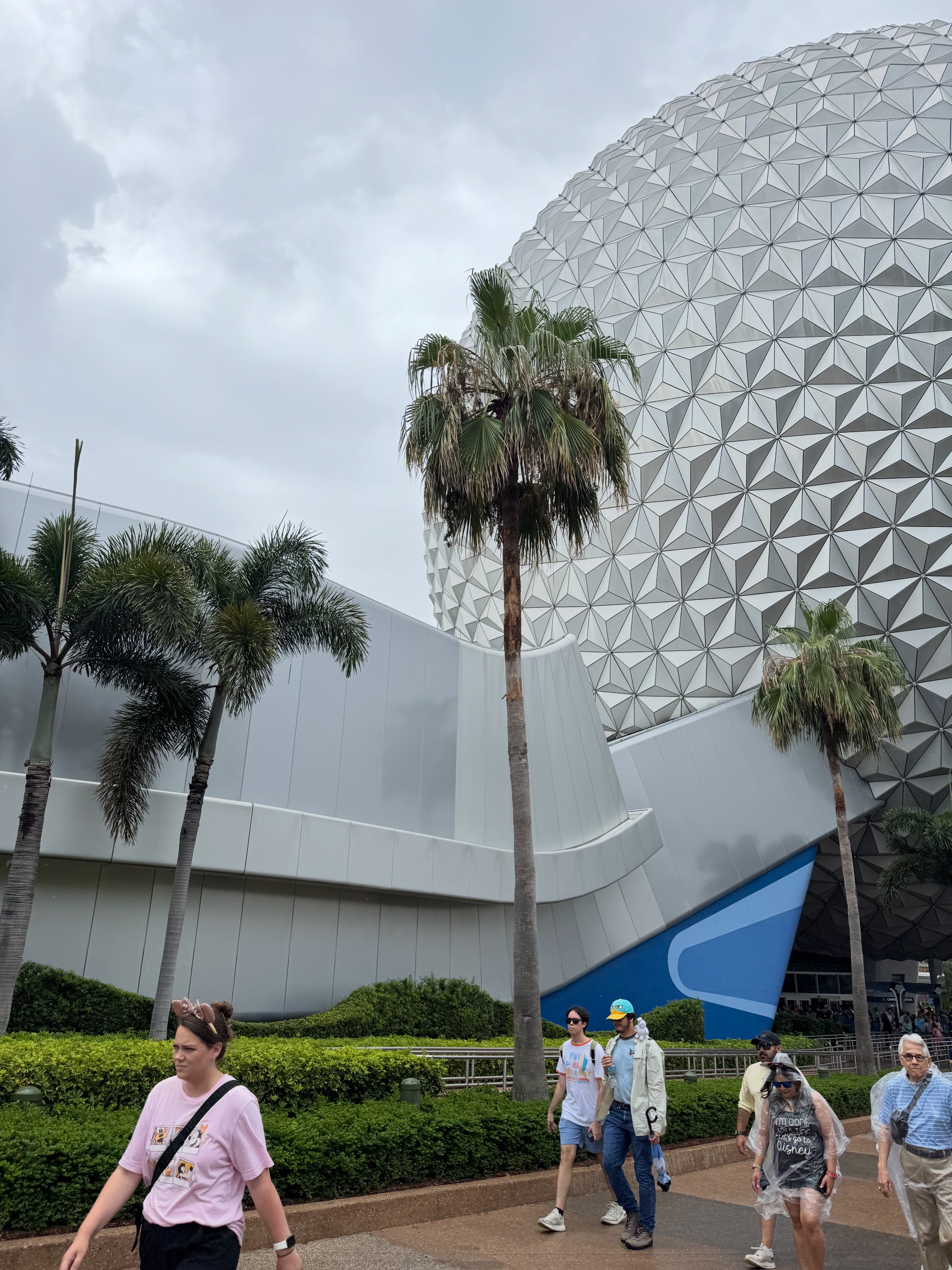 IMG_5911.jpeg