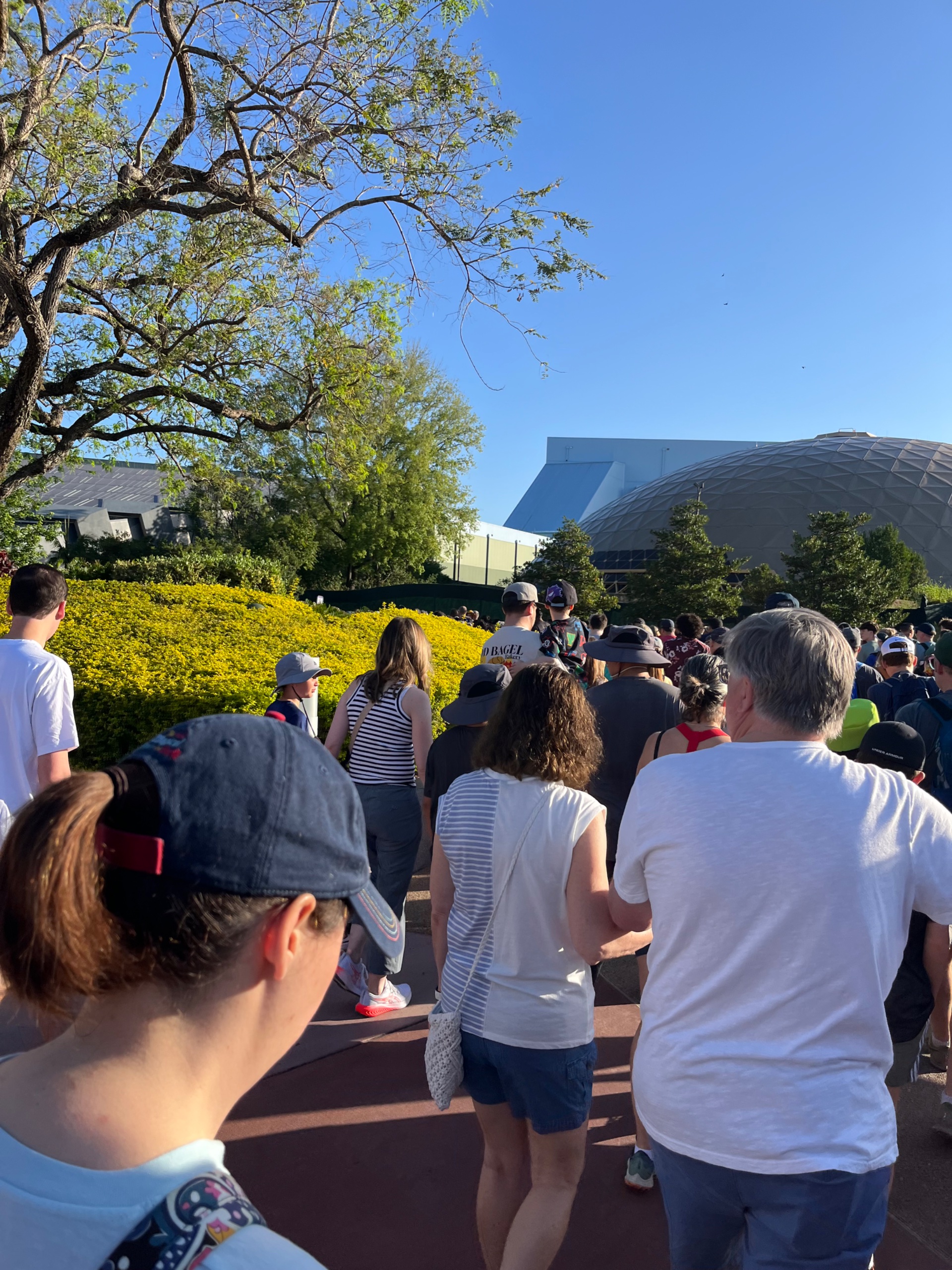 IMG_5960.jpeg